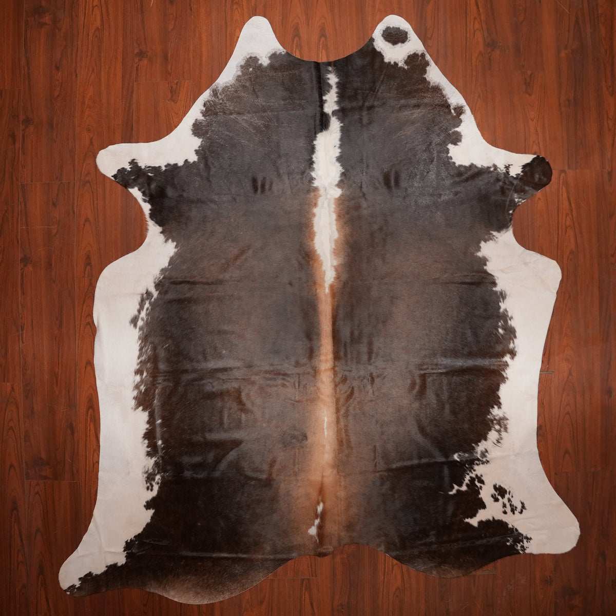 White-Bordered Tri-colour cow hide rug, 248 x 214 cm, genuine cowhide