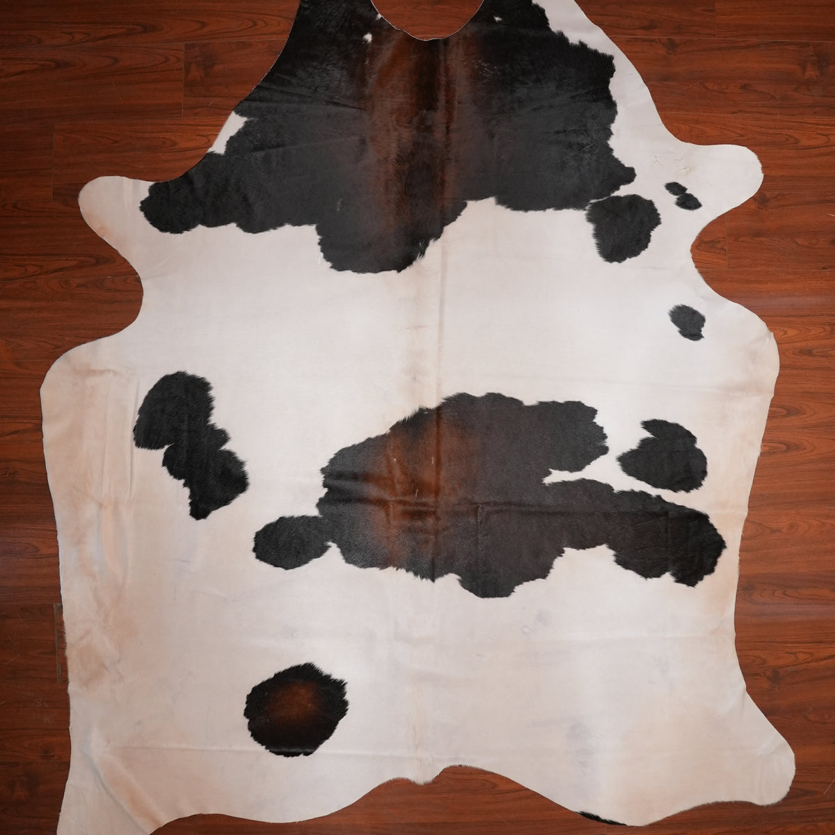 High-Contrast Tri-colour cow hide rug, 287 x 229 cm, genuine cowhide