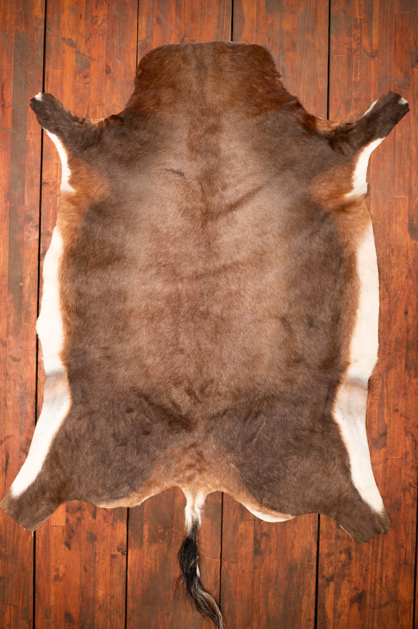 A Grade Blesbok Hide