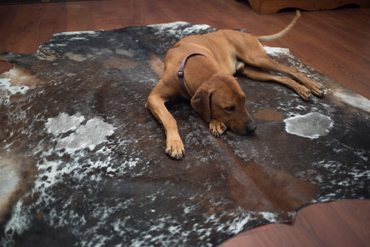 Clean an Nguni Hide or Cowhide Rug 