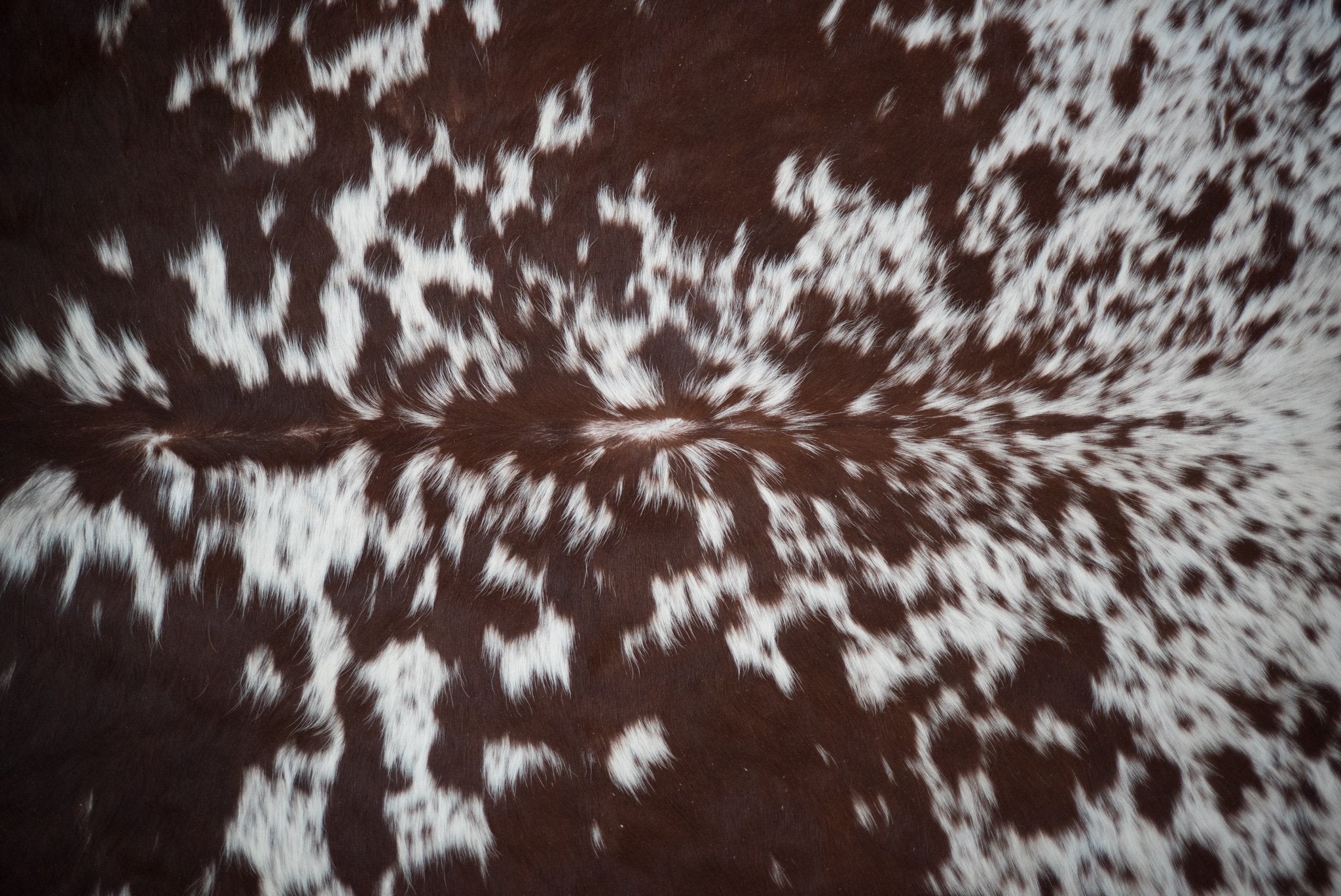 Cowhide Colour 150+ Hand Selected Cowhides | THE NGUNI GUY – The Nguni Guy