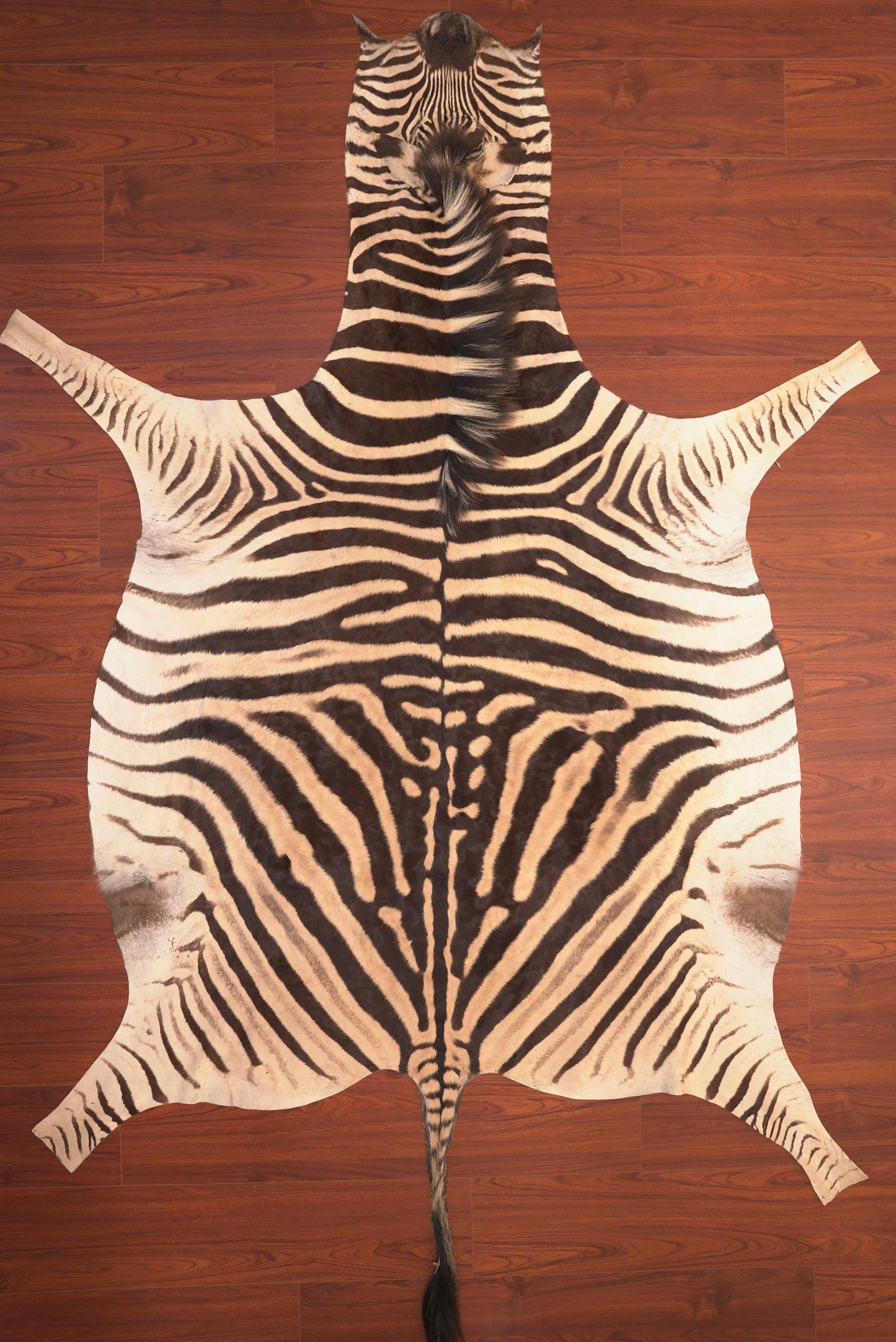 zebra hide rug animal skin carpet 