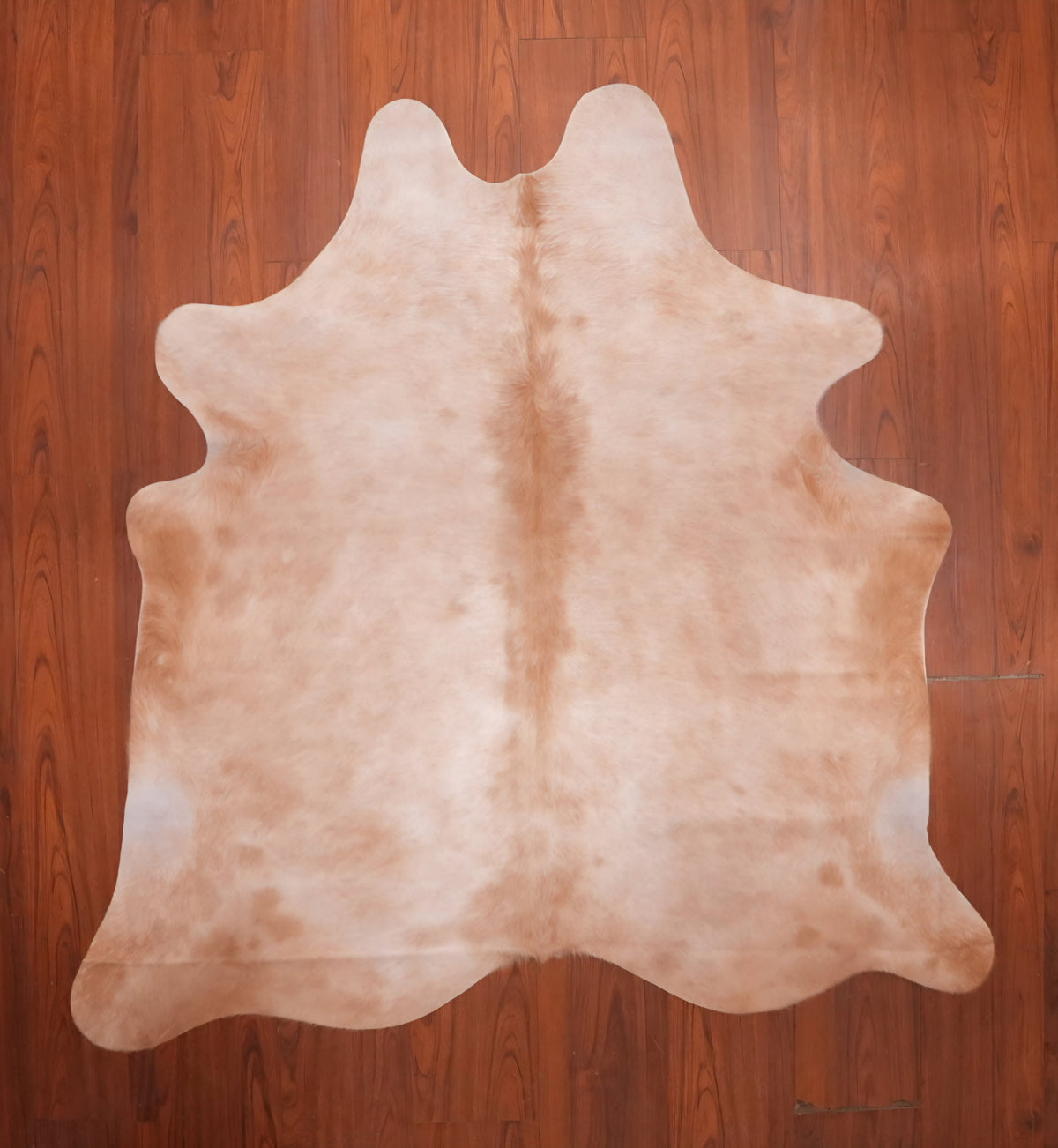 AA Grade Nguni Hide 724 (Caramel) (S)