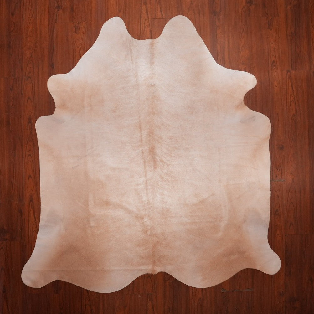 AA Grade Nguni Hide 750 (Caramel) (M)