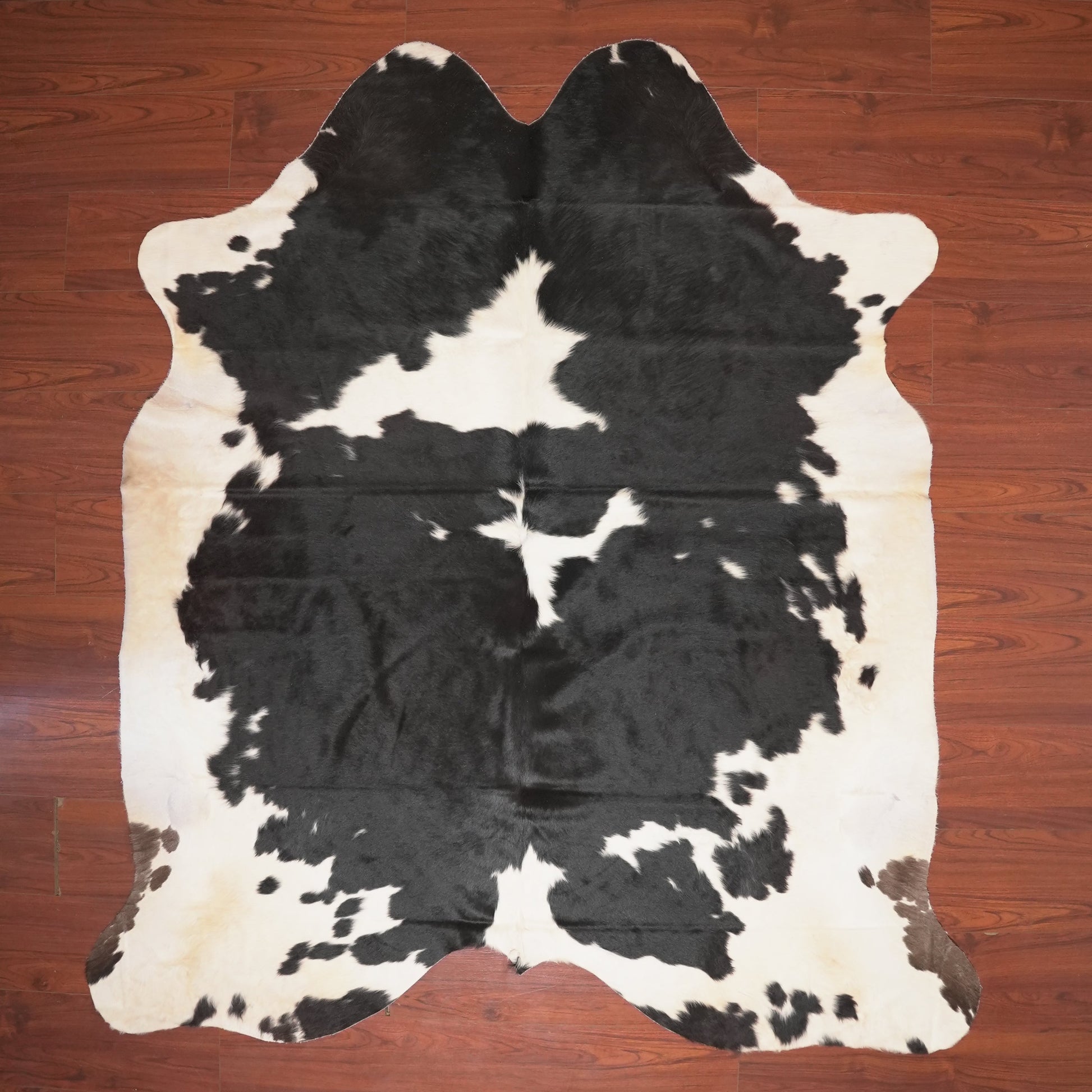 The Nguni Guy Nguni cowhide African decor Authentic cowhide Home decor Interior design Unique pattern Hand-selected Premium quality Natural beauty Exotic rug Genuine hide Statement piece Contemporary style Ethically sourced Sustainable decor Versatile accent Luxury rug Designer piece Modern aesthetic High-end craftsmanship Timeless elegance Designer home accents