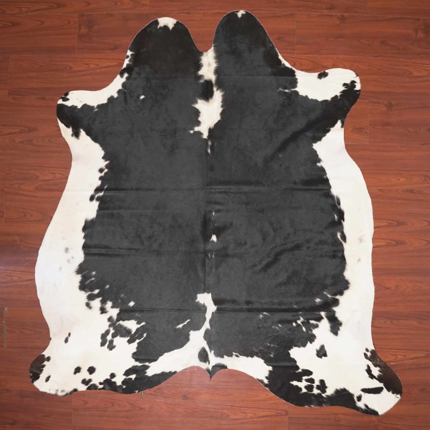 The Nguni Guy Nguni cowhide African decor Authentic cowhide Home decor Interior design Unique pattern Hand-selected Premium quality Natural beauty Exotic rug Genuine hide Statement piece Contemporary style Ethically sourced Sustainable decor Versatile accent Luxury rug Designer piece Modern aesthetic High-end craftsmanship Timeless elegance Designer home accents