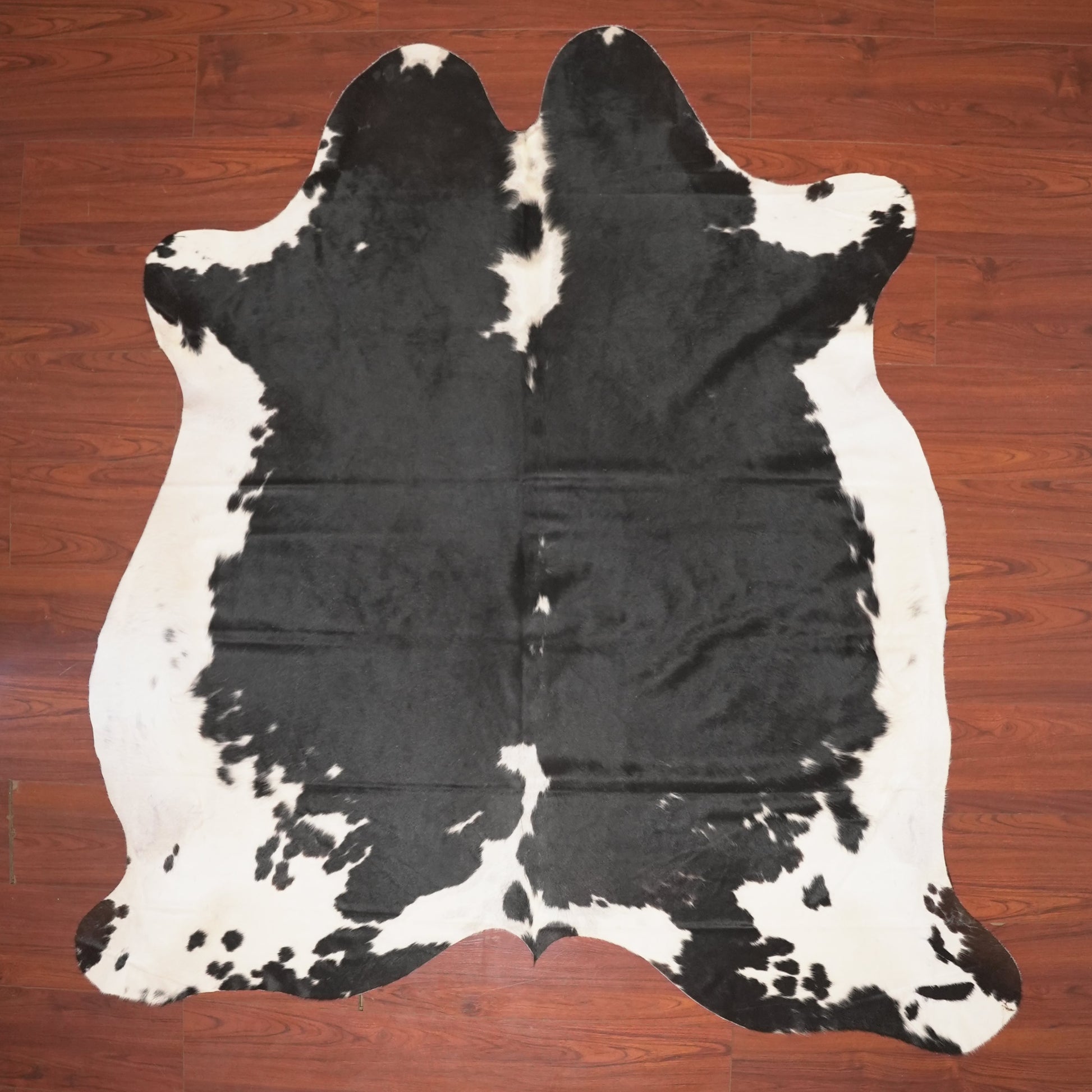The Nguni Guy Nguni cowhide African decor Authentic cowhide Home decor Interior design Unique pattern Hand-selected Premium quality Natural beauty Exotic rug Genuine hide Statement piece Contemporary style Ethically sourced Sustainable decor Versatile accent Luxury rug Designer piece Modern aesthetic High-end craftsmanship Timeless elegance Designer home accents