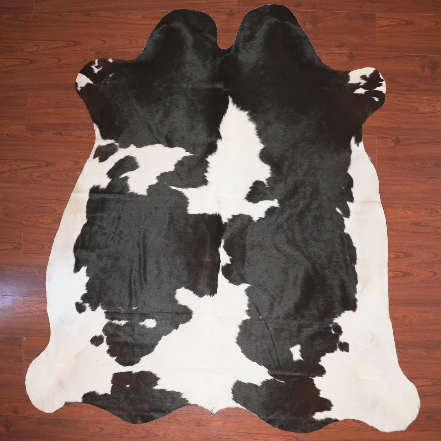 The Nguni Guy Nguni cowhide African decor Authentic cowhide Home decor Interior design Unique pattern Hand-selected Premium quality Natural beauty Exotic rug Genuine hide Statement piece Contemporary style Ethically sourced Sustainable decor Versatile accent Luxury rug Designer piece Modern aesthetic High-end craftsmanship Timeless elegance Designer home accents