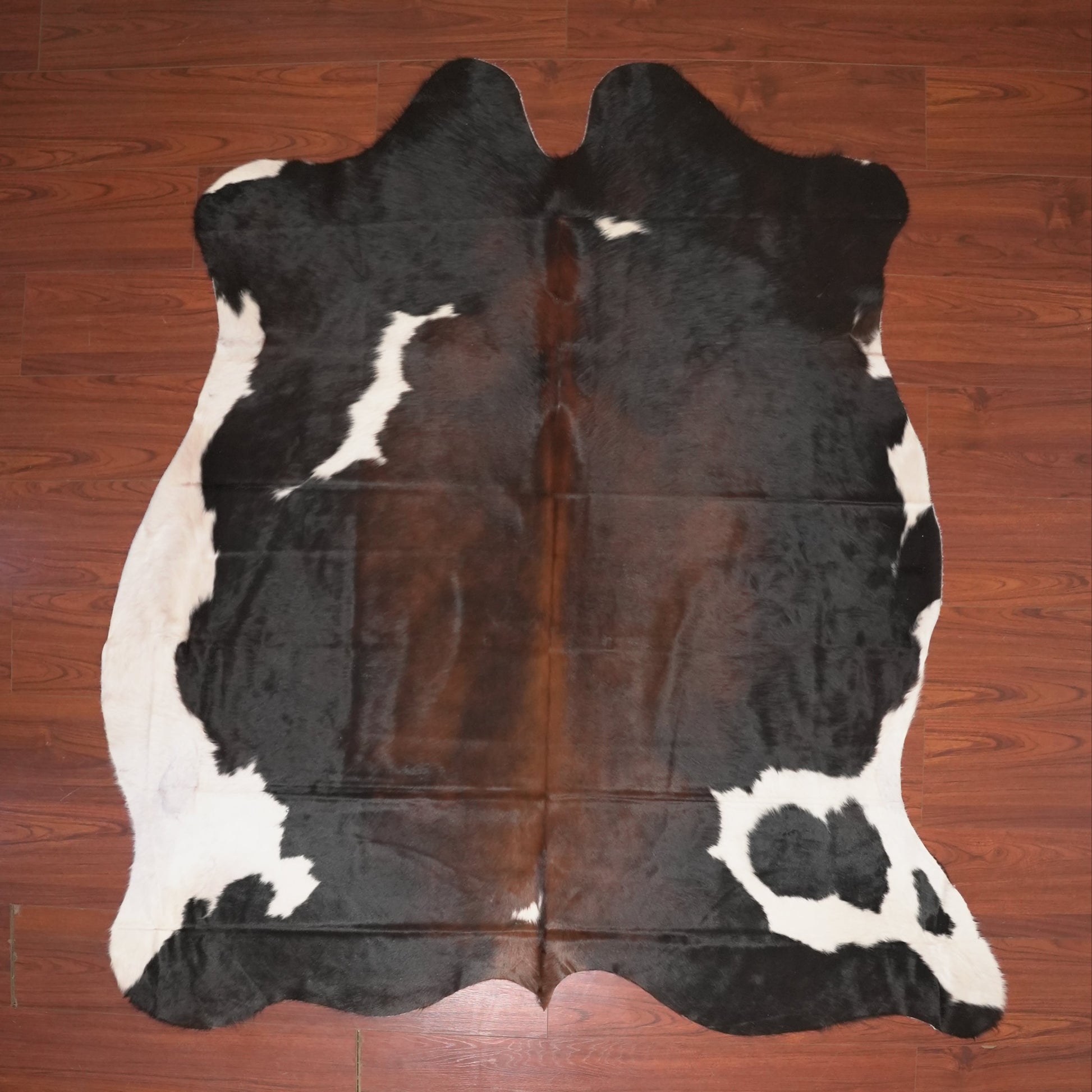 The Nguni Guy Nguni cowhide African decor Authentic cowhide Home decor Interior design Unique pattern Hand-selected Premium quality Natural beauty Exotic rug Genuine hide Statement piece Contemporary style Ethically sourced Sustainable decor Versatile accent Luxury rug Designer piece Modern aesthetic High-end craftsmanship Timeless elegance Designer home accents