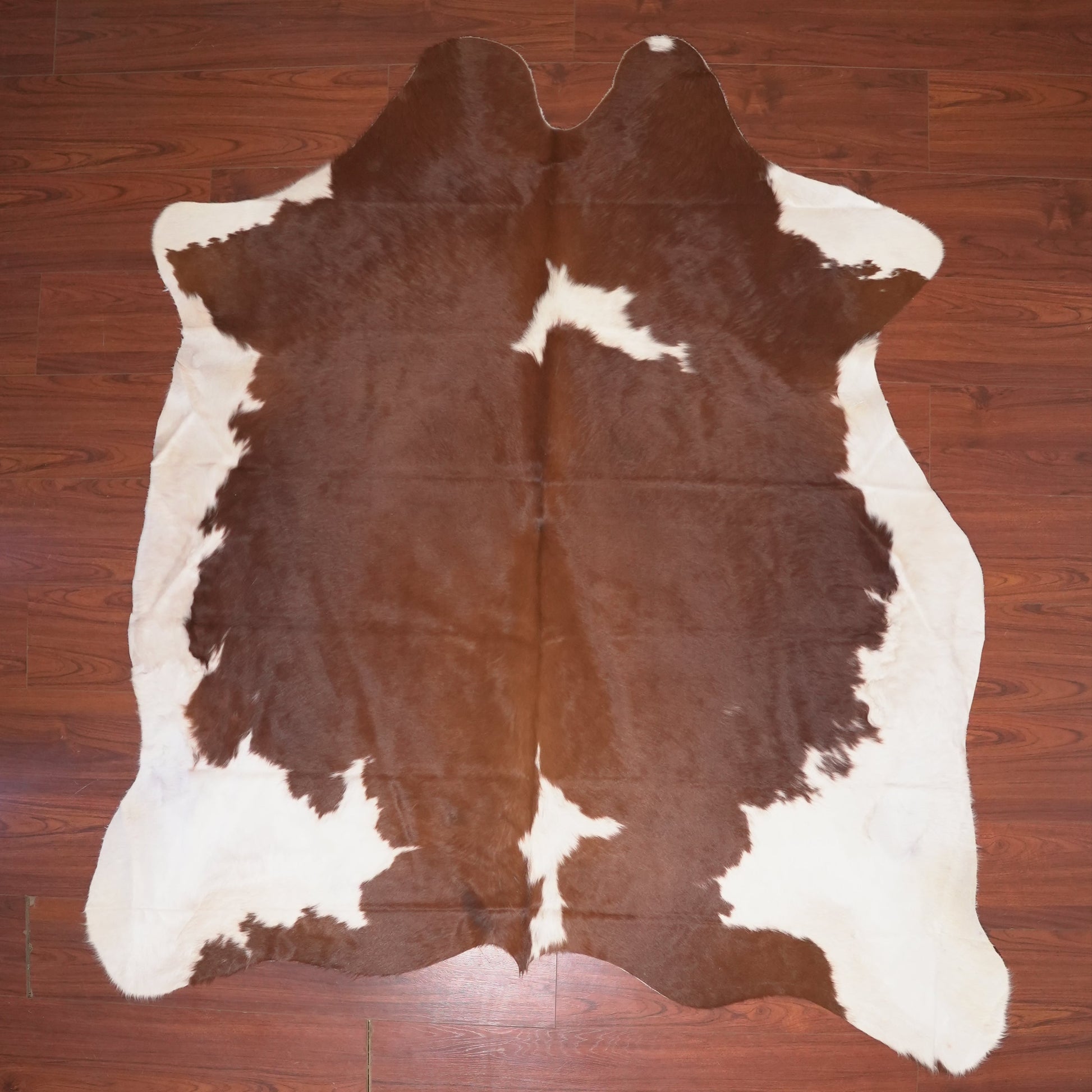 The Nguni Guy Nguni cowhide African decor Authentic cowhide Home decor Interior design Unique pattern Hand-selected Premium quality Natural beauty Exotic rug Genuine hide Statement piece Contemporary style Ethically sourced Sustainable decor Versatile accent Luxury rug Designer piece Modern aesthetic High-end craftsmanship Timeless elegance Designer home accents