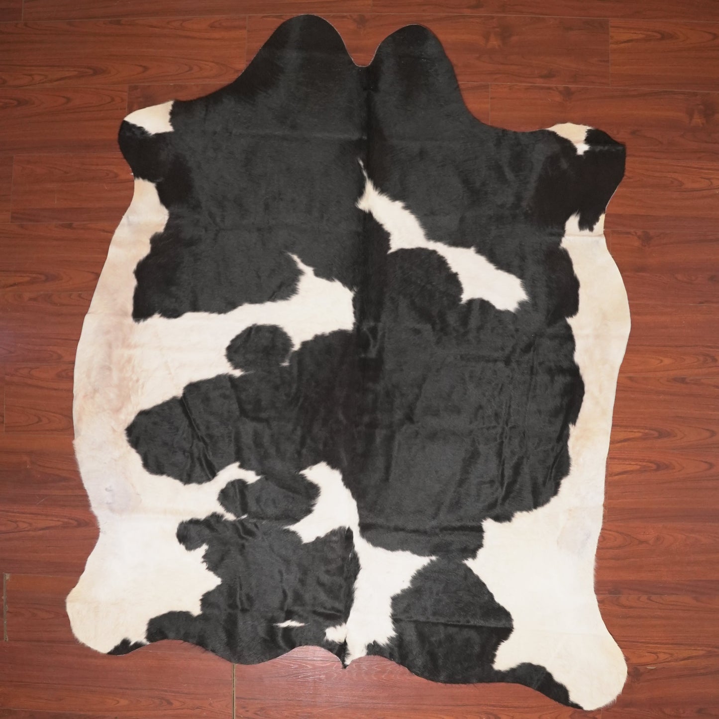 The Nguni Guy Nguni cowhide African decor Authentic cowhide Home decor Interior design Unique pattern Hand-selected Premium quality Natural beauty Exotic rug Genuine hide Statement piece Contemporary style Ethically sourced Sustainable decor Versatile accent Luxury rug Designer piece Modern aesthetic High-end craftsmanship Timeless elegance Designer home accents