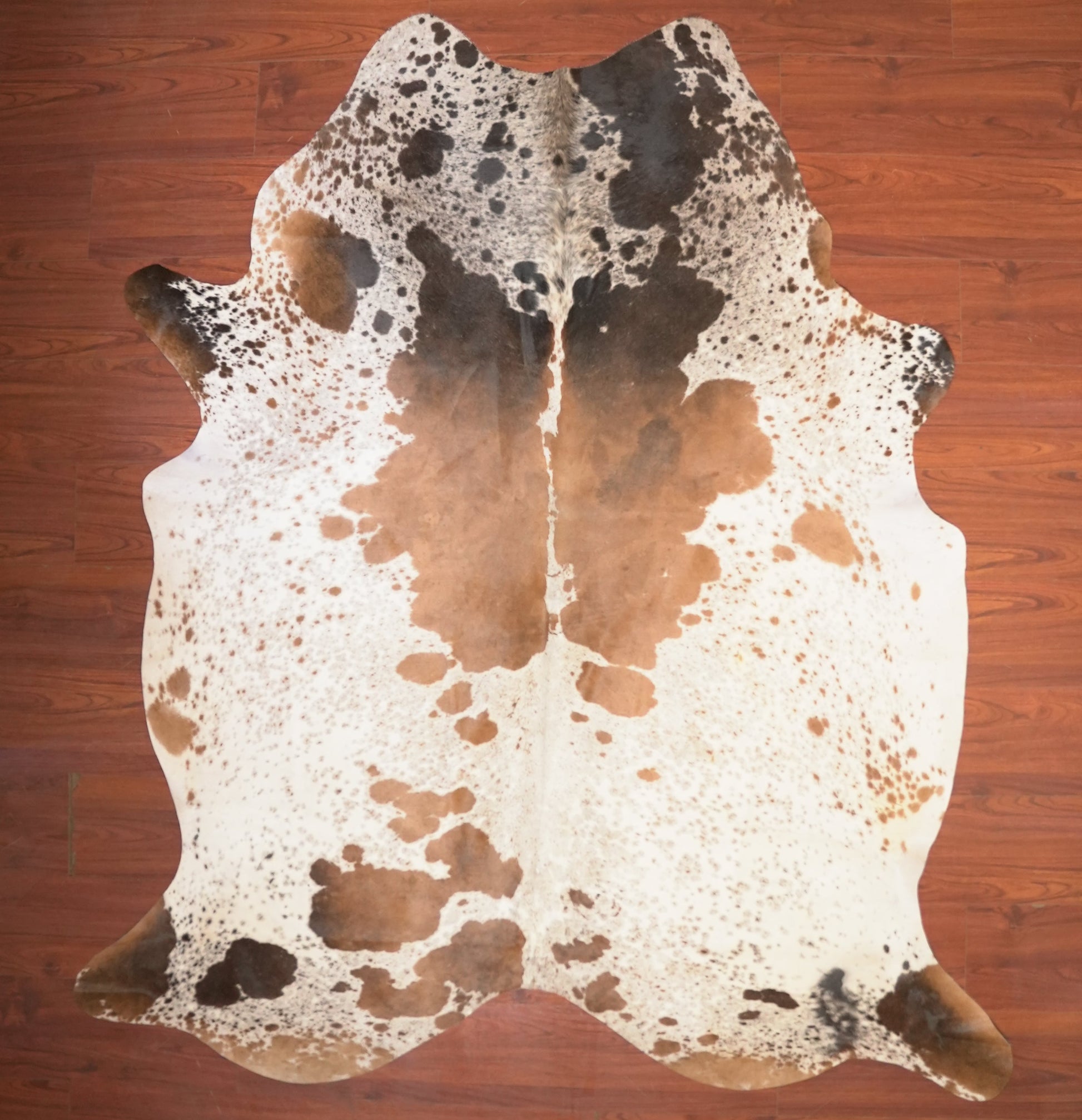 The Nguni Guy Nguni cowhide African decor Authentic cowhide Home decor Interior design Unique pattern Hand-selected Premium quality Natural beauty Exotic rug Genuine hide Statement piece Contemporary style Ethically sourced Sustainable decor Versatile accent Luxury rug Designer piece Modern aesthetic High-end craftsmanship Timeless elegance Designer home accents
