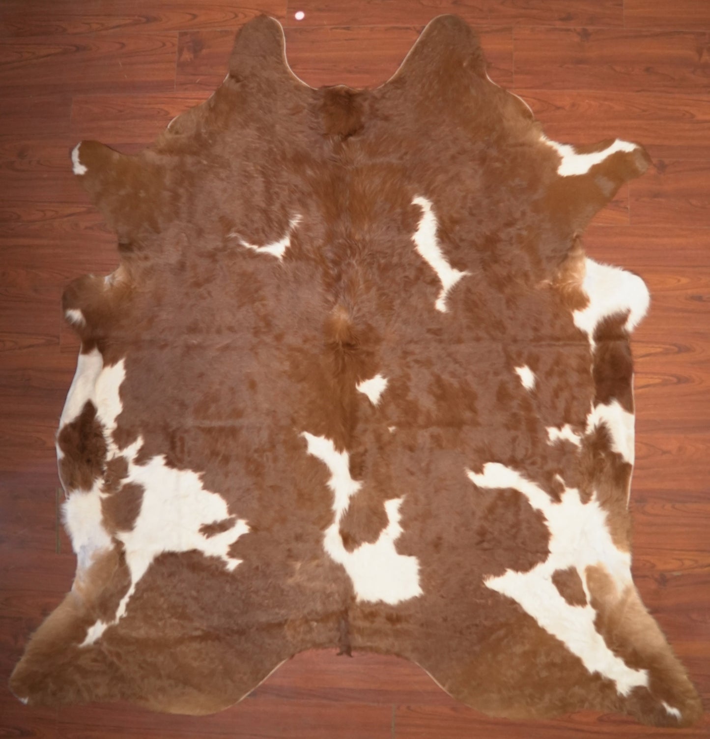 The Nguni Guy Nguni cowhide African decor Authentic cowhide Home decor Interior design Unique pattern Hand-selected Premium quality Natural beauty Exotic rug Genuine hide Statement piece Contemporary style Ethically sourced Sustainable decor Versatile accent Luxury rug Designer piece Modern aesthetic High-end craftsmanship Timeless elegance Designer home accents
