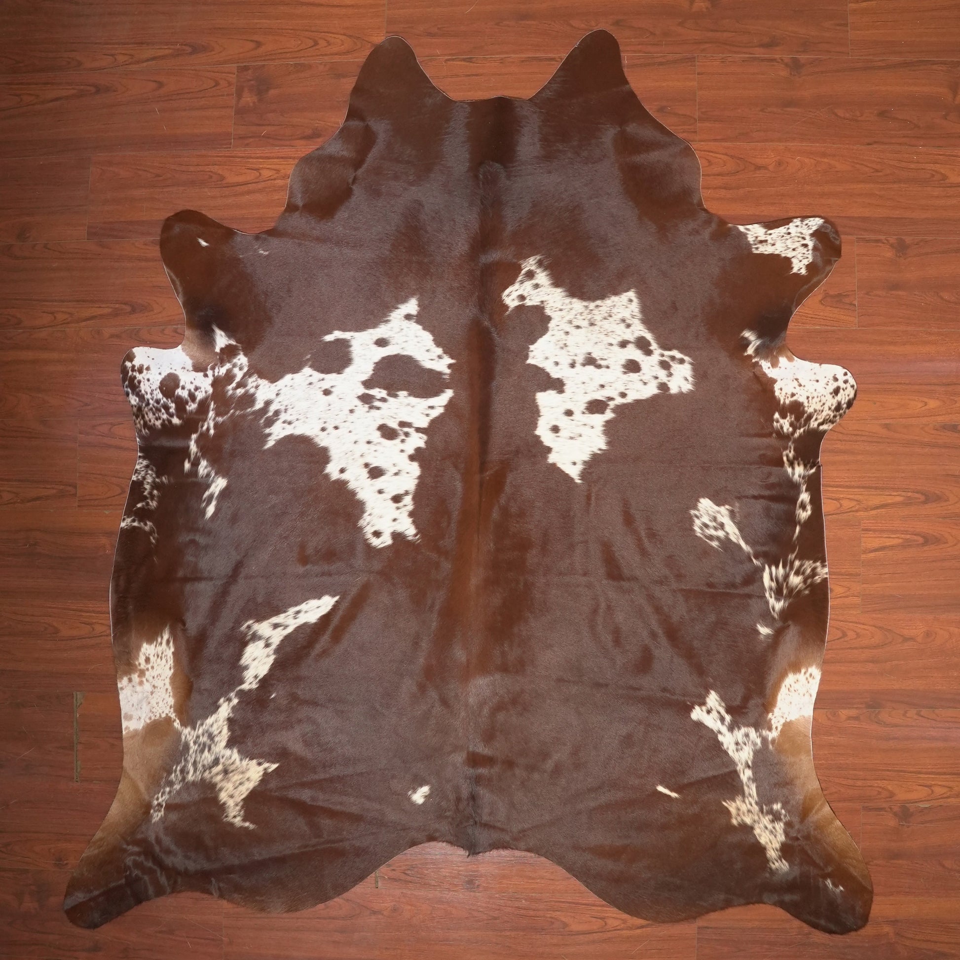 The Nguni Guy Nguni cowhide African decor Authentic cowhide Home decor Interior design Unique pattern Hand-selected Premium quality Natural beauty Exotic rug Genuine hide Statement piece Contemporary style Ethically sourced Sustainable decor Versatile accent Luxury rug Designer piece Modern aesthetic High-end craftsmanship Timeless elegance Designer home accents
