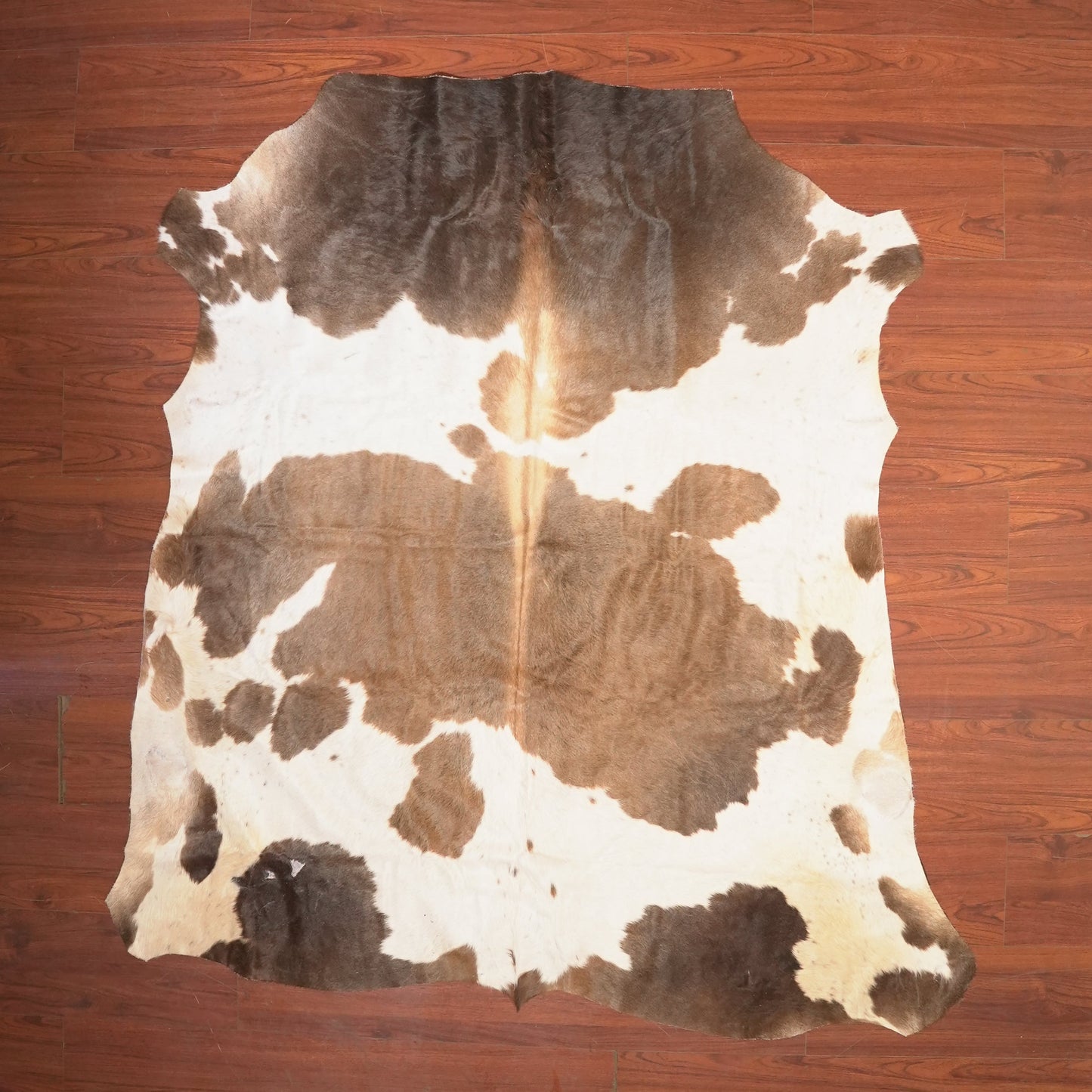 The Nguni Guy Nguni cowhide African decor Authentic cowhide Home decor Interior design Unique pattern Hand-selected Premium quality Natural beauty Exotic rug Genuine hide Statement piece Contemporary style Ethically sourced Sustainable decor Versatile accent Luxury rug Designer piece Modern aesthetic High-end craftsmanship Timeless elegance Designer home accents
