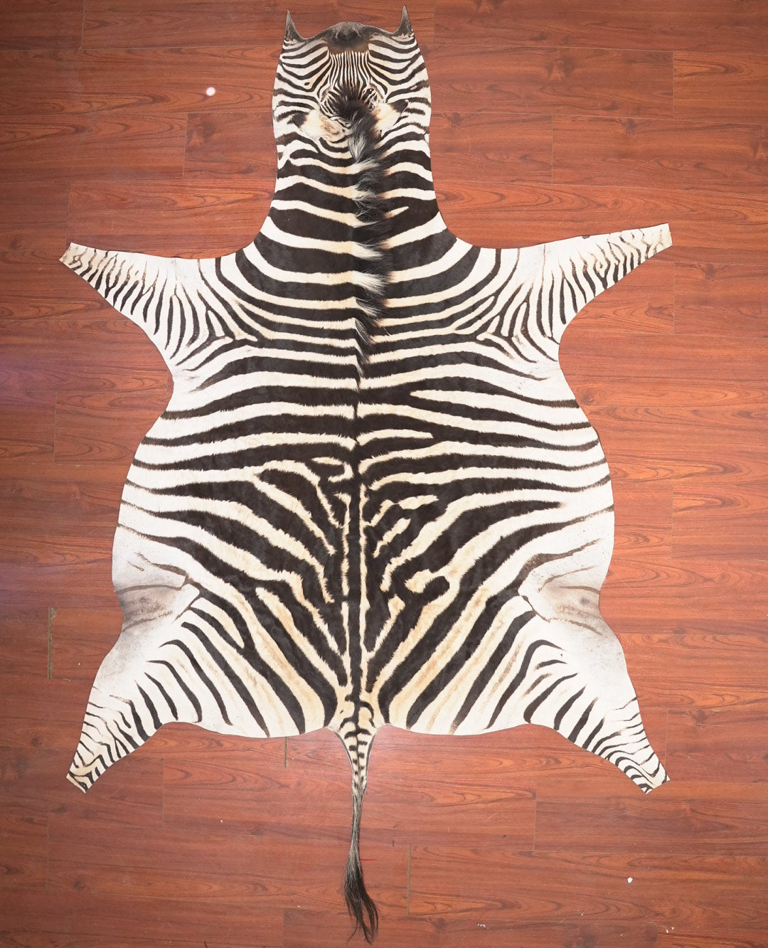 Zebra skin rug on a wooden floor