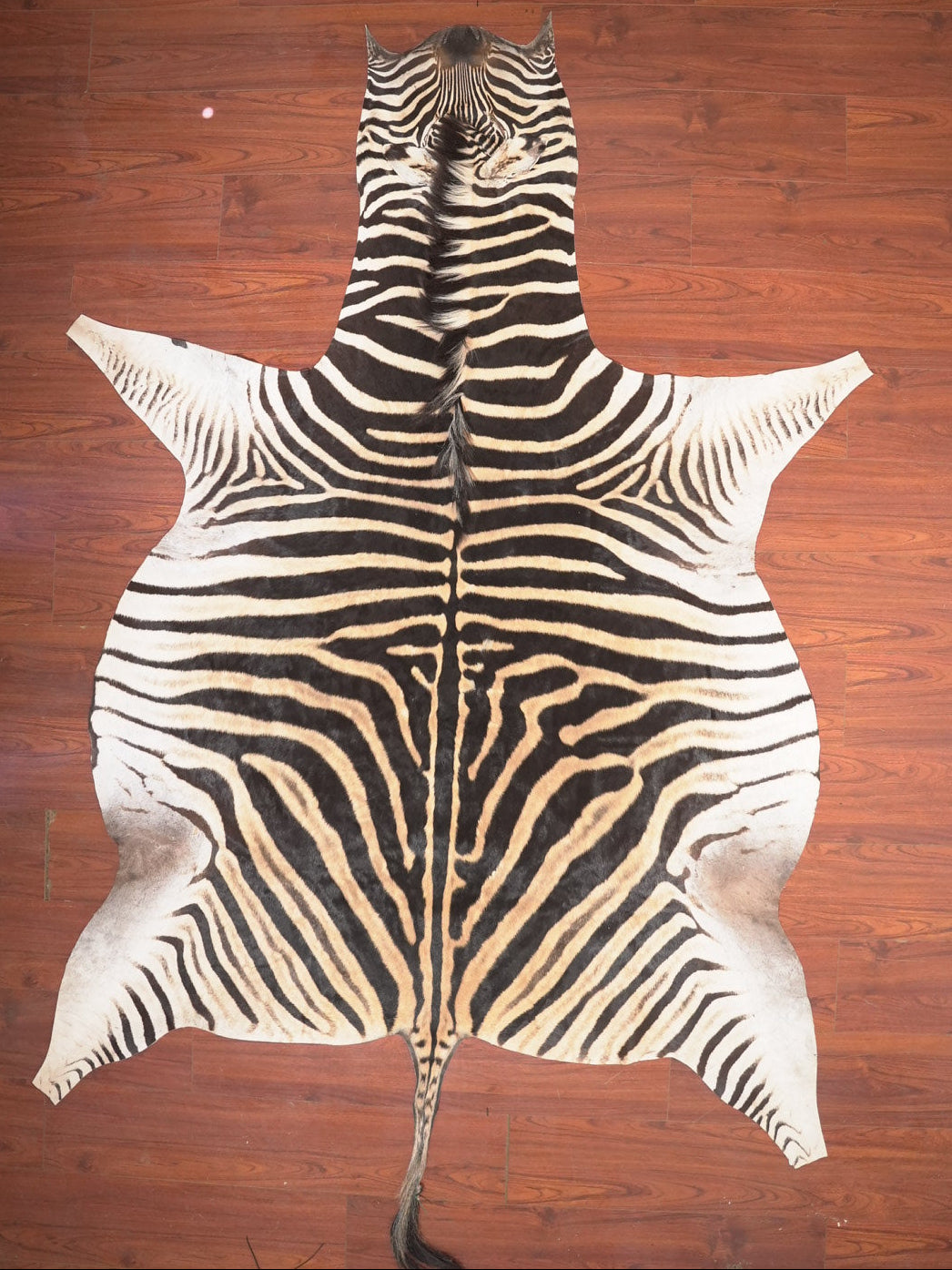 Zebra skin rug on a wooden floor