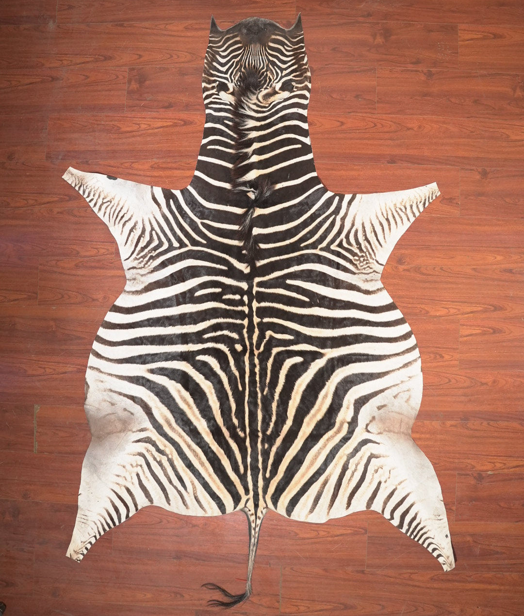 The Nguni Guy Nguni zebra hide African decor Authentic zebra skin Home decor Interior design Unique pattern Hand-selected Premium quality Natural beauty Exotic rug Genuine hide Statement piece Contemporary style Ethically sourced Sustainable decor Versatile accent Luxury rug Designer piece Modern aesthetic High-end craftsmanship Timeless elegance Designer home accents