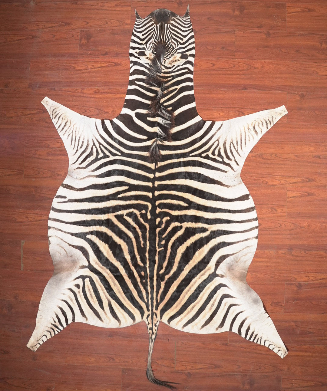 The Nguni Guy Nguni zebra hide African decor Authentic zebra skin Home decor Interior design Unique pattern Hand-selected Premium quality Natural beauty Exotic rug Genuine hide Statement piece Contemporary style Ethically sourced Sustainable decor Versatile accent Luxury rug Designer piece Modern aesthetic High-end craftsmanship Timeless elegance Designer home accents