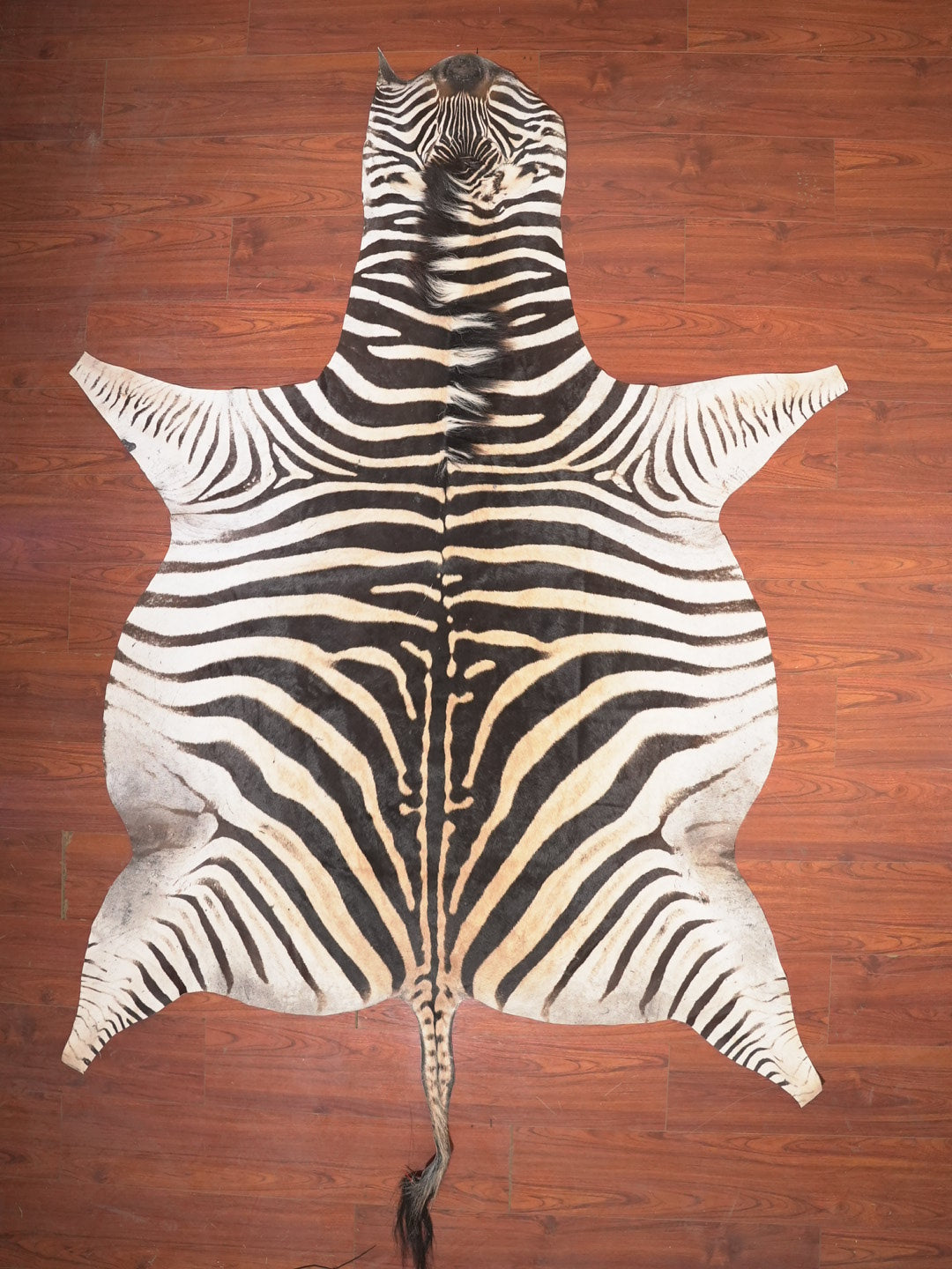 The Nguni Guy Nguni zebra hide African decor Authentic zebra skin Home decor Interior design Unique pattern Hand-selected Premium quality Natural beauty Exotic rug Genuine hide Statement piece Contemporary style Ethically sourced Sustainable decor Versatile accent Luxury rug Designer piece Modern aesthetic High-end craftsmanship Timeless elegance Designer home accents