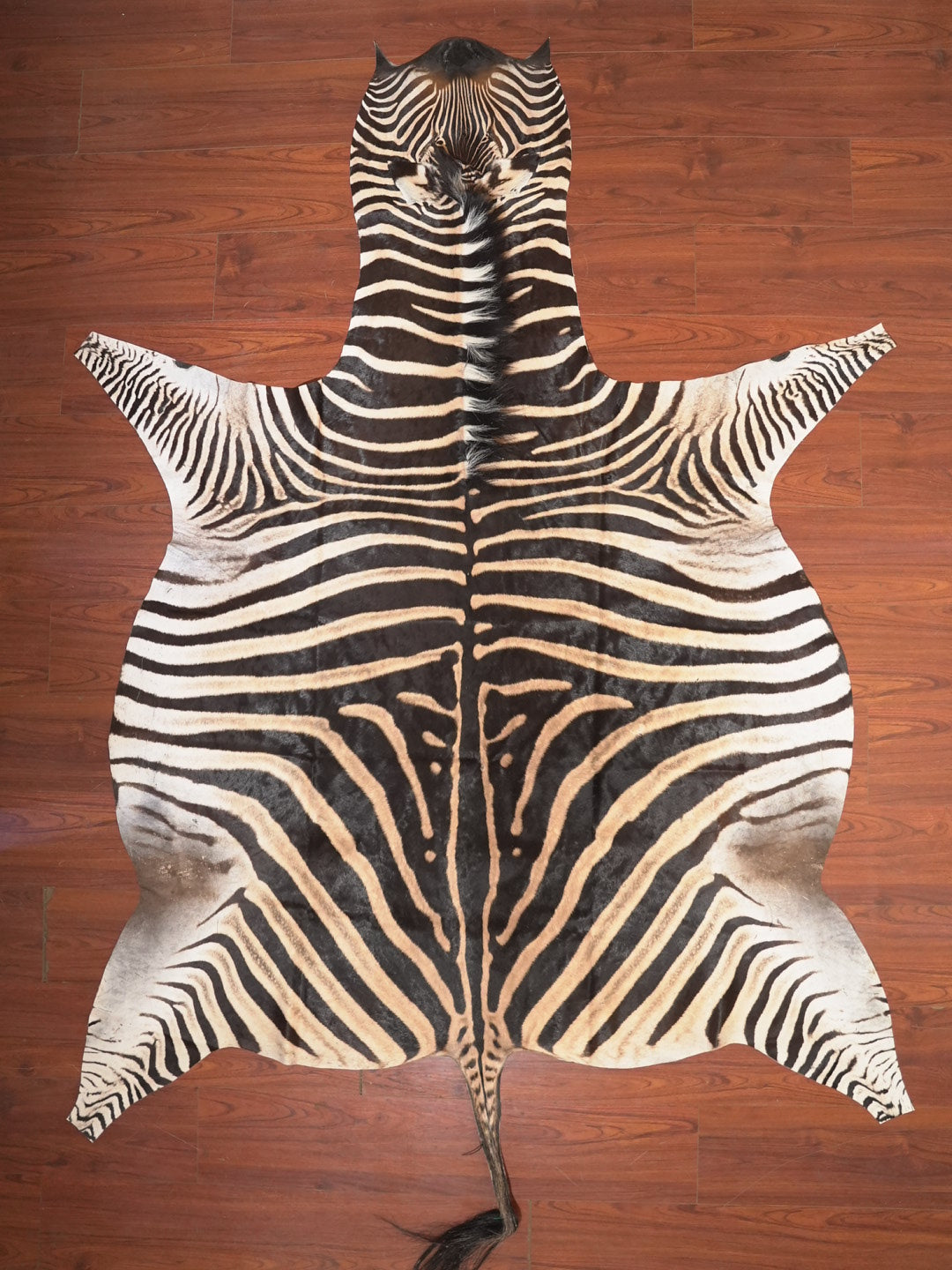 The Nguni Guy Nguni zebra hide African decor Authentic zebra skin Home decor Interior design Unique pattern Hand-selected Premium quality Natural beauty Exotic rug Genuine hide Statement piece Contemporary style Ethically sourced Sustainable decor Versatile accent Luxury rug Designer piece Modern aesthetic High-end craftsmanship Timeless elegance Designer home accents