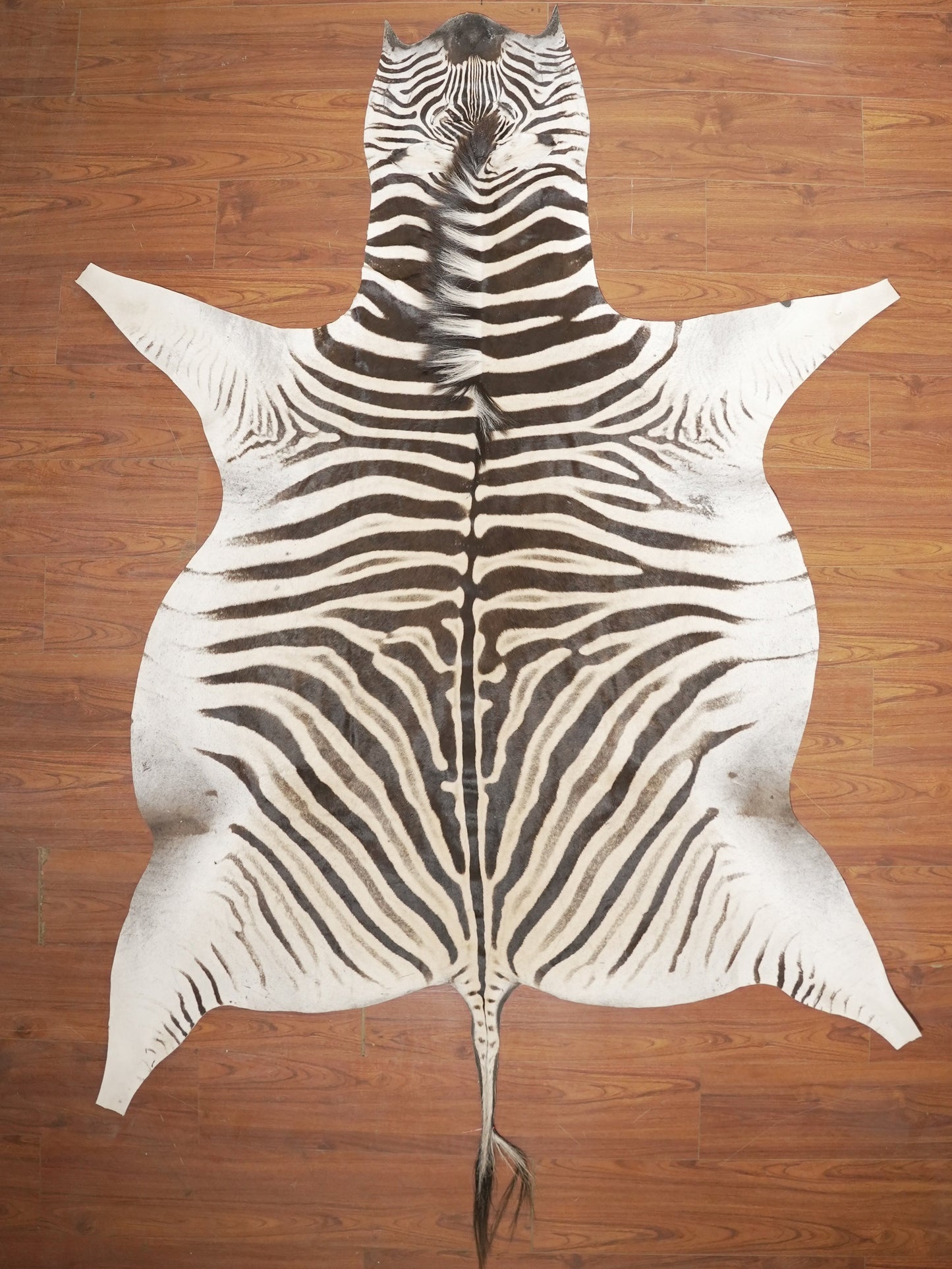 The Nguni Guy Nguni zebra hide African decor Authentic zebra skin Home decor Interior design Unique pattern Hand-selected Premium quality Natural beauty Exotic rug Genuine hide Statement piece Contemporary style Ethically sourced Sustainable decor Versatile accent Luxury rug Designer piece Modern aesthetic High-end craftsmanship Timeless elegance Designer home accents