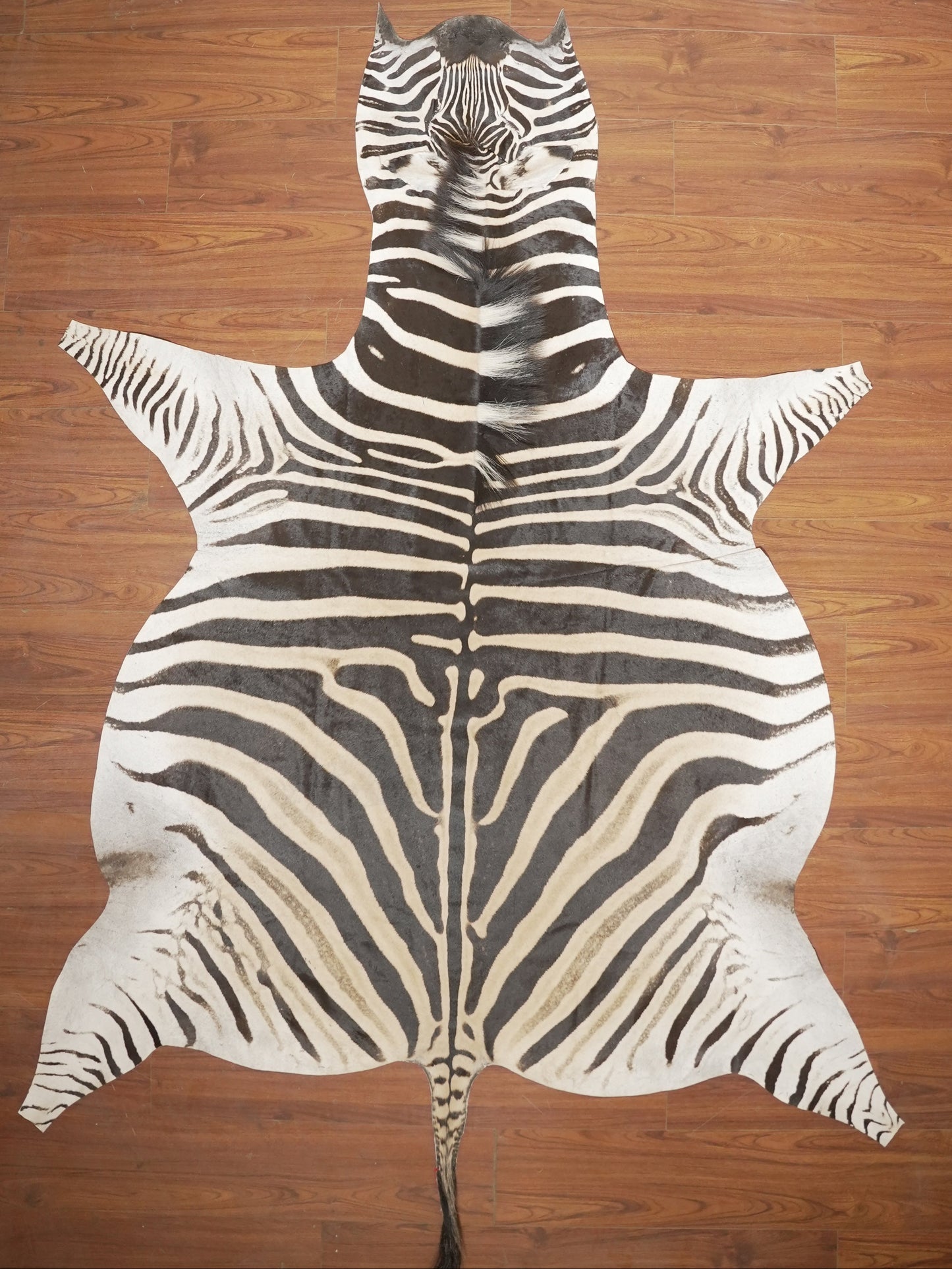The Nguni Guy Nguni zebra hide African decor Authentic zebra skin Home decor Interior design Unique pattern Hand-selected Premium quality Natural beauty Exotic rug Genuine hide Statement piece Contemporary style Ethically sourced Sustainable decor Versatile accent Luxury rug Designer piece Modern aesthetic High-end craftsmanship Timeless elegance Designer home accents
