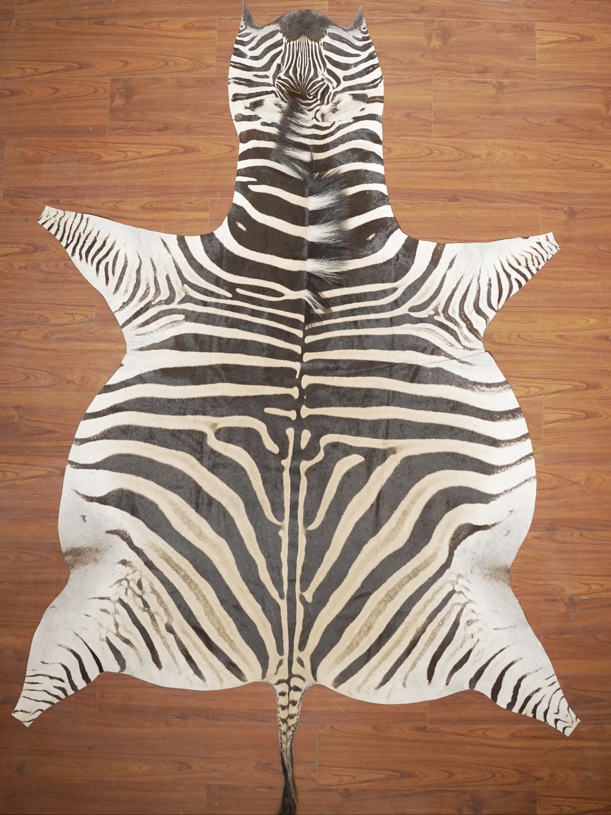 The Nguni Guy Nguni zebra hide African decor Authentic zebra skin Home decor Interior design Unique pattern Hand-selected Premium quality Natural beauty Exotic rug Genuine hide Statement piece Contemporary style Ethically sourced Sustainable decor Versatile accent Luxury rug Designer piece Modern aesthetic High-end craftsmanship Timeless elegance Designer home accents