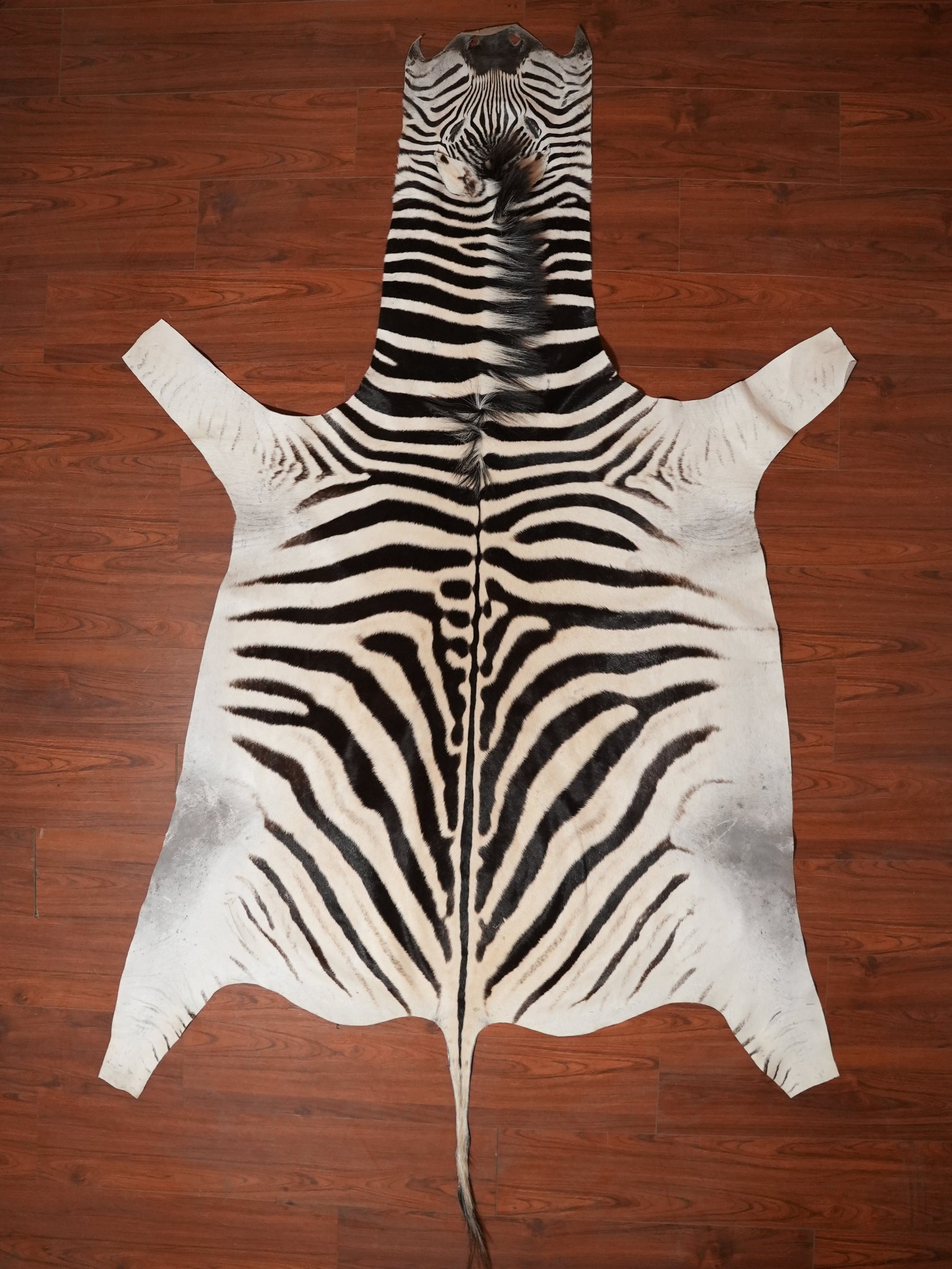 Zebra skin rug on a wooden floor