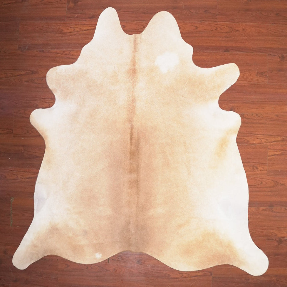 The Nguni Guy Nguni cowhide African decor Authentic cowhide Home decor Interior design Unique pattern Hand-selected Premium quality Natural beauty Exotic rug Genuine hide Statement piece Contemporary style Ethically sourced Sustainable decor Versatile accent Luxury rug Designer piece Modern aesthetic High-end craftsmanship Timeless elegance Designer home accents
