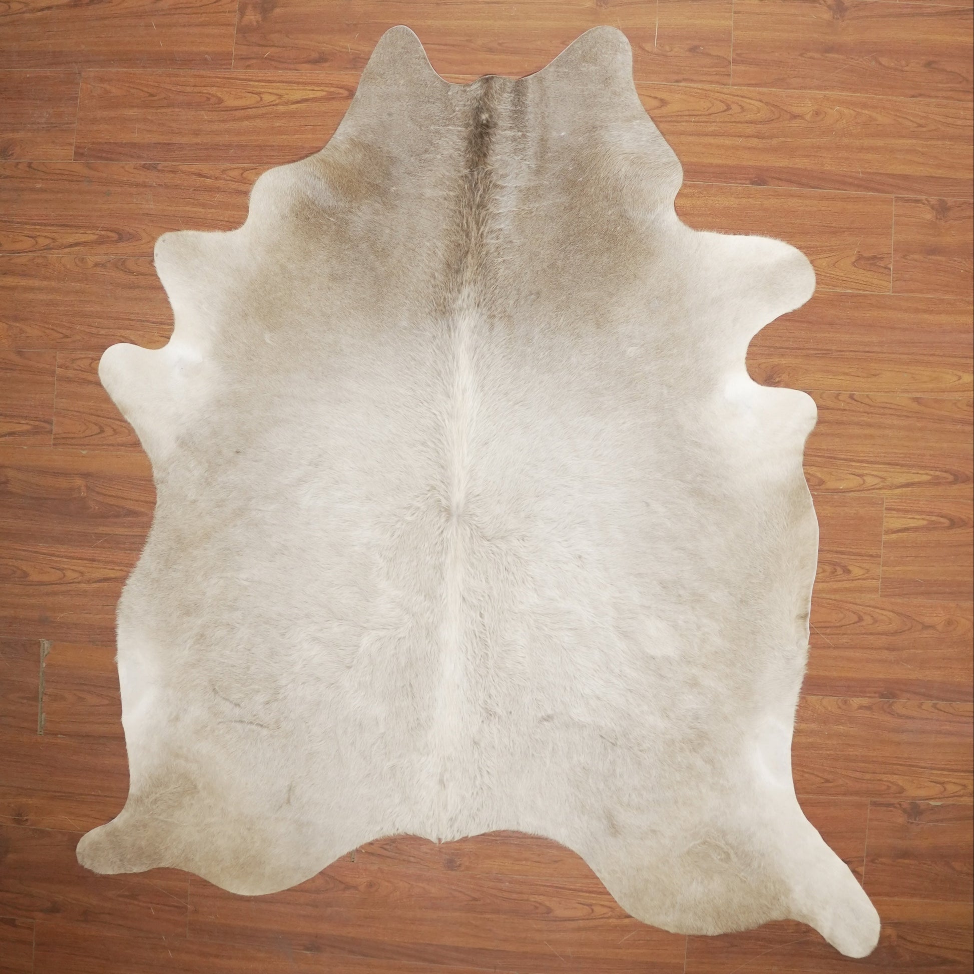 The Nguni Guy Nguni cowhide African decor Authentic cowhide Home decor Interior design Unique pattern Hand-selected Premium quality Natural beauty Exotic rug Genuine hide Statement piece Contemporary style Ethically sourced Sustainable decor Versatile accent Luxury rug Designer piece Modern aesthetic High-end craftsmanship Timeless elegance Designer home accents
