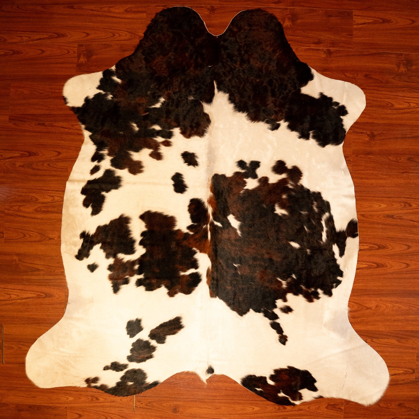 The Nguni Guy Nguni cowhide African decor Authentic cowhide Home decor Interior design Unique pattern Hand-selected Premium quality Natural beauty Exotic rug Genuine hide Statement piece Contemporary style Ethically sourced Sustainable decor Versatile accent Luxury rug Designer piece Modern aesthetic High-end craftsmanship Timeless elegance Designer home accents
