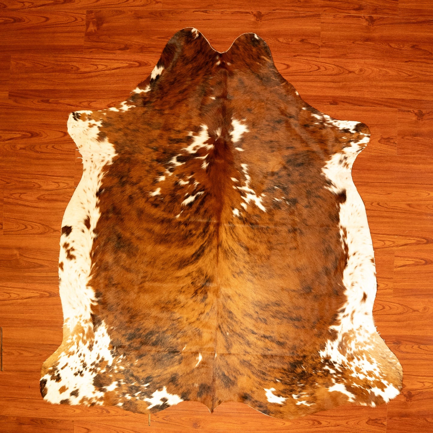 The Nguni Guy Nguni cowhide African decor Authentic cowhide Home decor Interior design Unique pattern Hand-selected Premium quality Natural beauty Exotic rug Genuine hide Statement piece Contemporary style Ethically sourced Sustainable decor Versatile accent Luxury rug Designer piece Modern aesthetic High-end craftsmanship Timeless elegance Designer home accents
