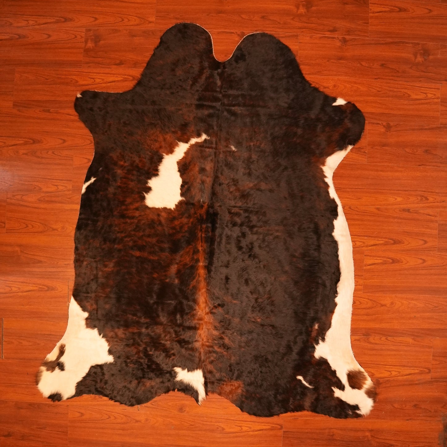 The Nguni Guy Nguni cowhide African decor Authentic cowhide Home decor Interior design Unique pattern Hand-selected Premium quality Natural beauty Exotic rug Genuine hide Statement piece Contemporary style Ethically sourced Sustainable decor Versatile accent Luxury rug Designer piece Modern aesthetic High-end craftsmanship Timeless elegance Designer home accents
