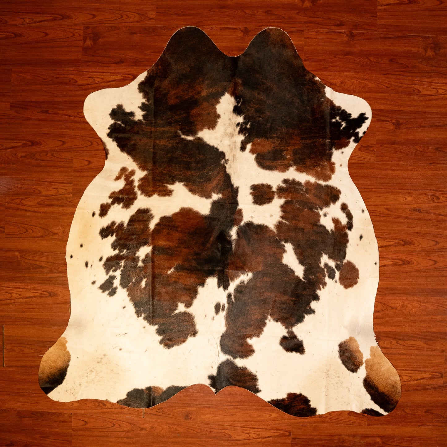 The Nguni Guy Nguni cowhide African decor Authentic cowhide Home decor Interior design Unique pattern Hand-selected Premium quality Natural beauty Exotic rug Genuine hide Statement piece Contemporary style Ethically sourced Sustainable decor Versatile accent Luxury rug Designer piece Modern aesthetic High-end craftsmanship Timeless elegance Designer home accents