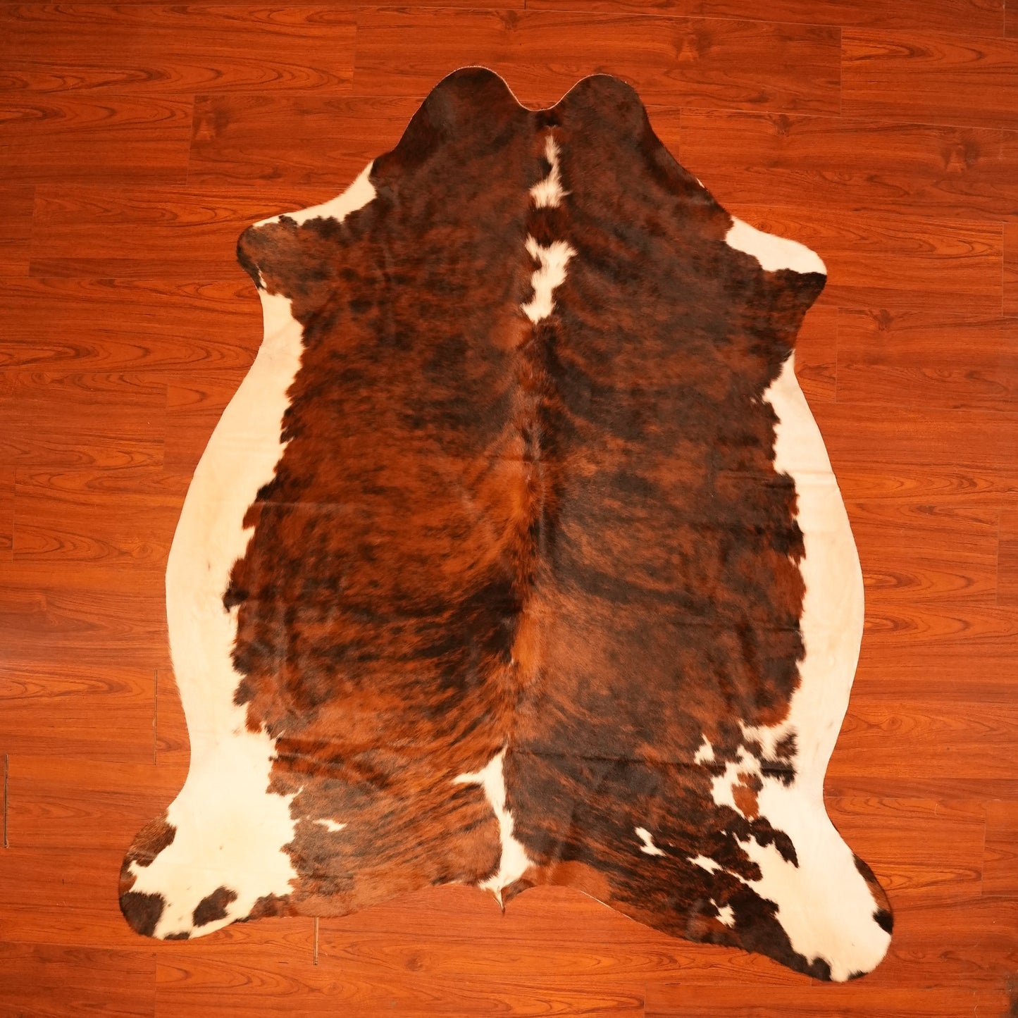 The Nguni Guy Nguni cowhide African decor Authentic cowhide Home decor Interior design Unique pattern Hand-selected Premium quality Natural beauty Exotic rug Genuine hide Statement piece Contemporary style Ethically sourced Sustainable decor Versatile accent Luxury rug Designer piece Modern aesthetic High-end craftsmanship Timeless elegance Designer home accents
