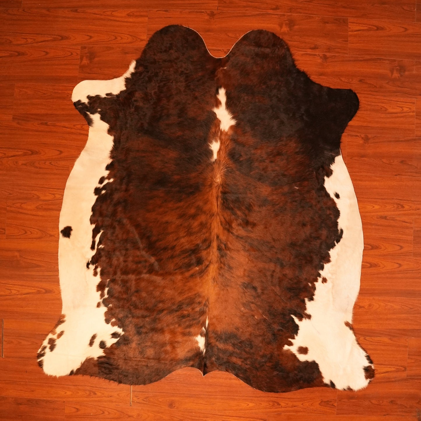 The Nguni Guy Nguni cowhide African decor Authentic cowhide Home decor Interior design Unique pattern Hand-selected Premium quality Natural beauty Exotic rug Genuine hide Statement piece Contemporary style Ethically sourced Sustainable decor Versatile accent Luxury rug Designer piece Modern aesthetic High-end craftsmanship Timeless elegance Designer home accents

