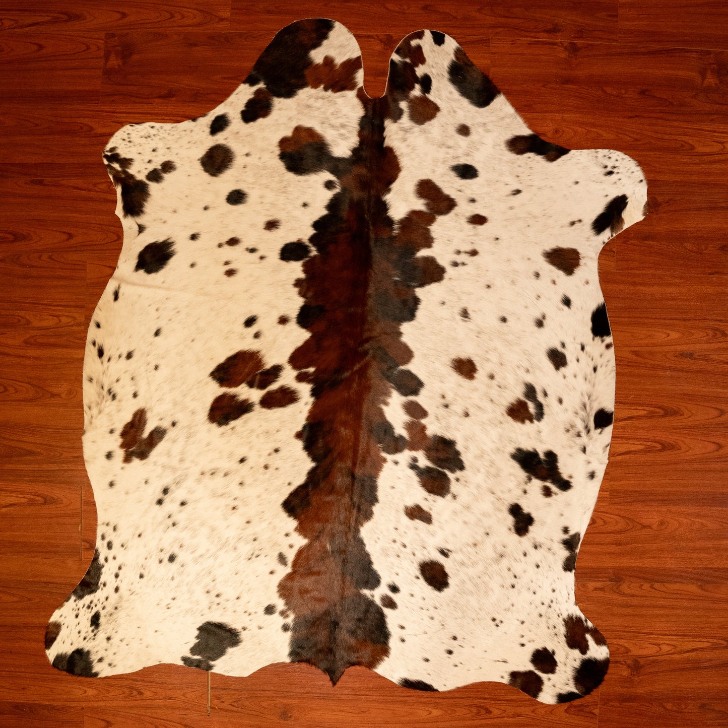 The Nguni Guy Nguni cowhide African decor Authentic cowhide Home decor Interior design Unique pattern Hand-selected Premium quality Natural beauty Exotic rug Genuine hide Statement piece Contemporary style Ethically sourced Sustainable decor Versatile accent Luxury rug Designer piece Modern aesthetic High-end craftsmanship Timeless elegance Designer home accents
