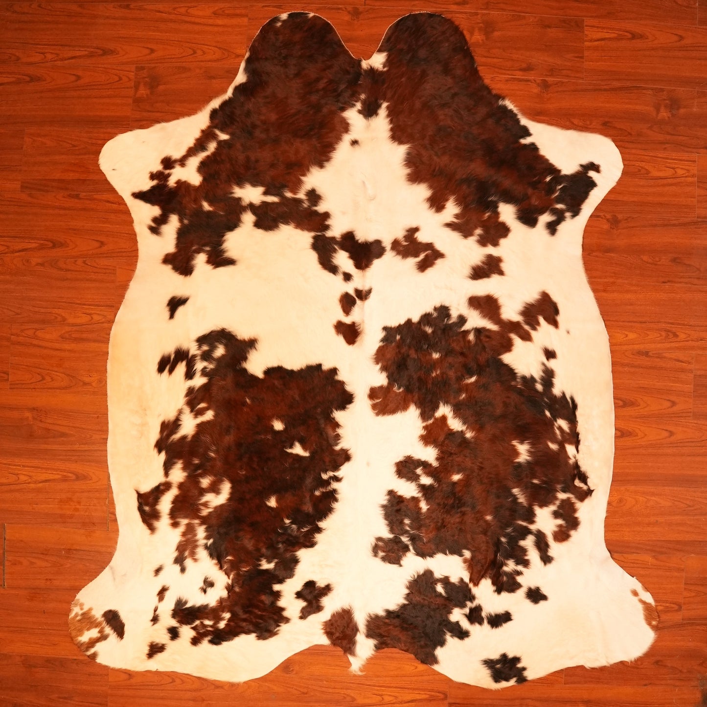 The Nguni Guy Nguni cowhide African decor Authentic cowhide Home decor Interior design Unique pattern Hand-selected Premium quality Natural beauty Exotic rug Genuine hide Statement piece Contemporary style Ethically sourced Sustainable decor Versatile accent Luxury rug Designer piece Modern aesthetic High-end craftsmanship Timeless elegance Designer home accents
