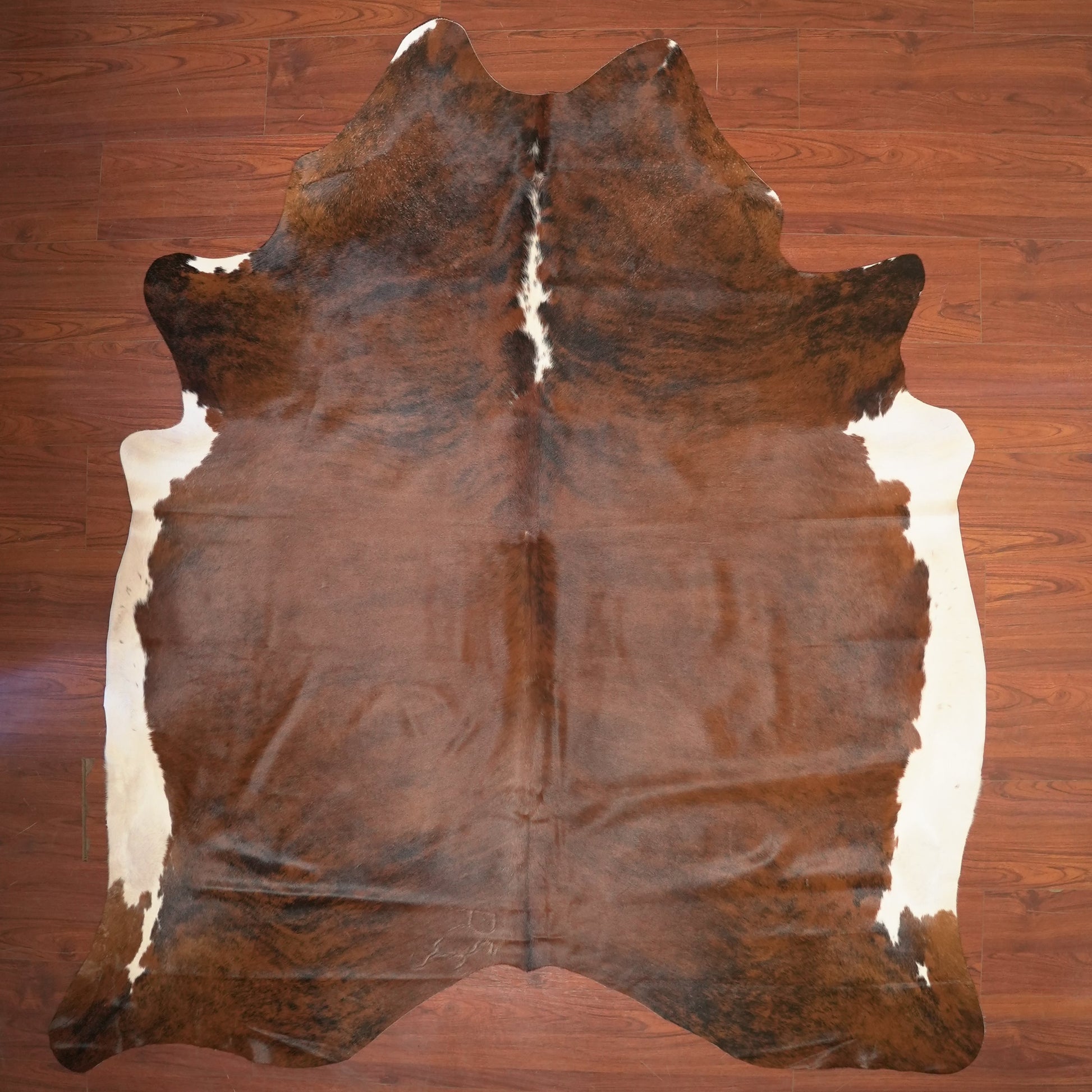The Nguni Guy Nguni cowhide African decor Authentic cowhide Home decor Interior design Unique pattern Hand-selected Premium quality Natural beauty Exotic rug Genuine hide Statement piece Contemporary style Ethically sourced Sustainable decor Versatile accent Luxury rug Designer piece Modern aesthetic High-end craftsmanship Timeless elegance Designer home accents
