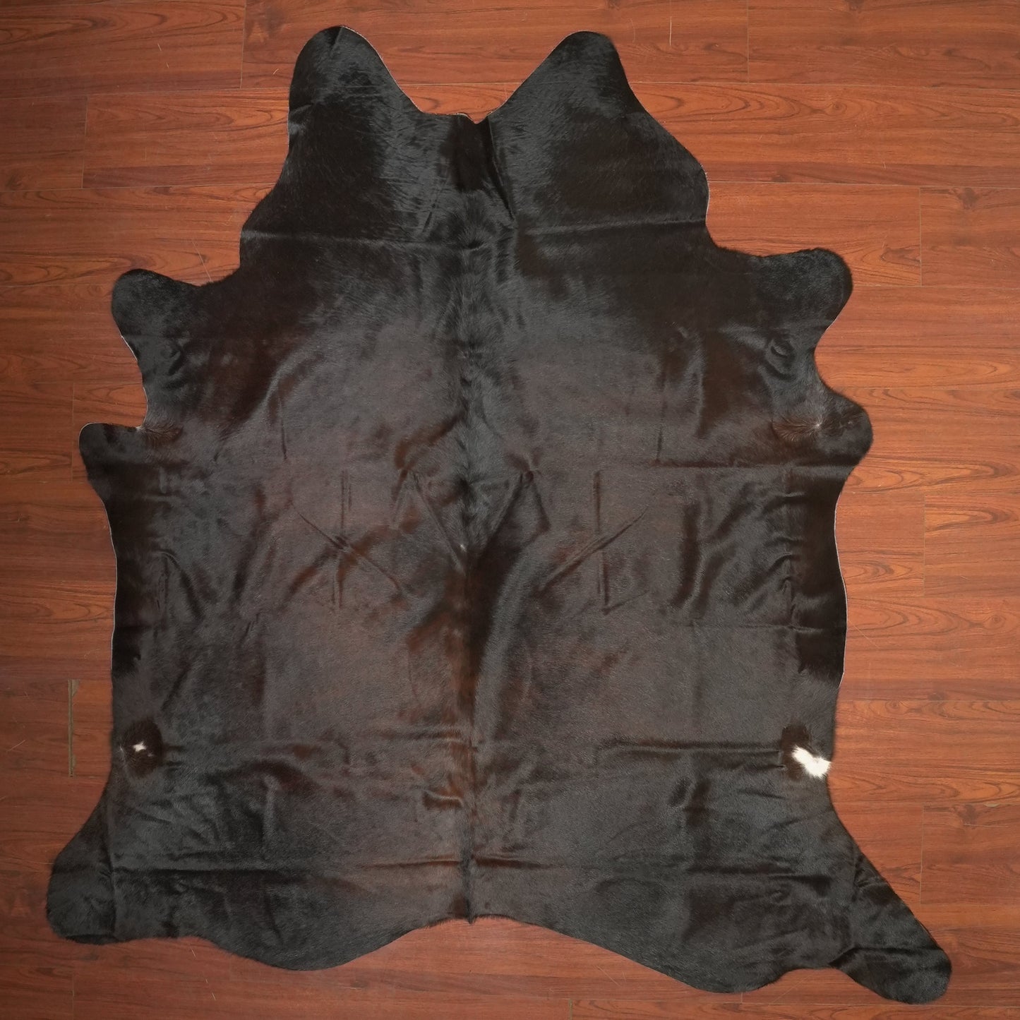 The Nguni Guy Nguni cowhide African decor Authentic cowhide Home decor Interior design Unique pattern Hand-selected Premium quality Natural beauty Exotic rug Genuine hide Statement piece Contemporary style Ethically sourced Sustainable decor Versatile accent Luxury rug Designer piece Modern aesthetic High-end craftsmanship Timeless elegance Designer home accents
