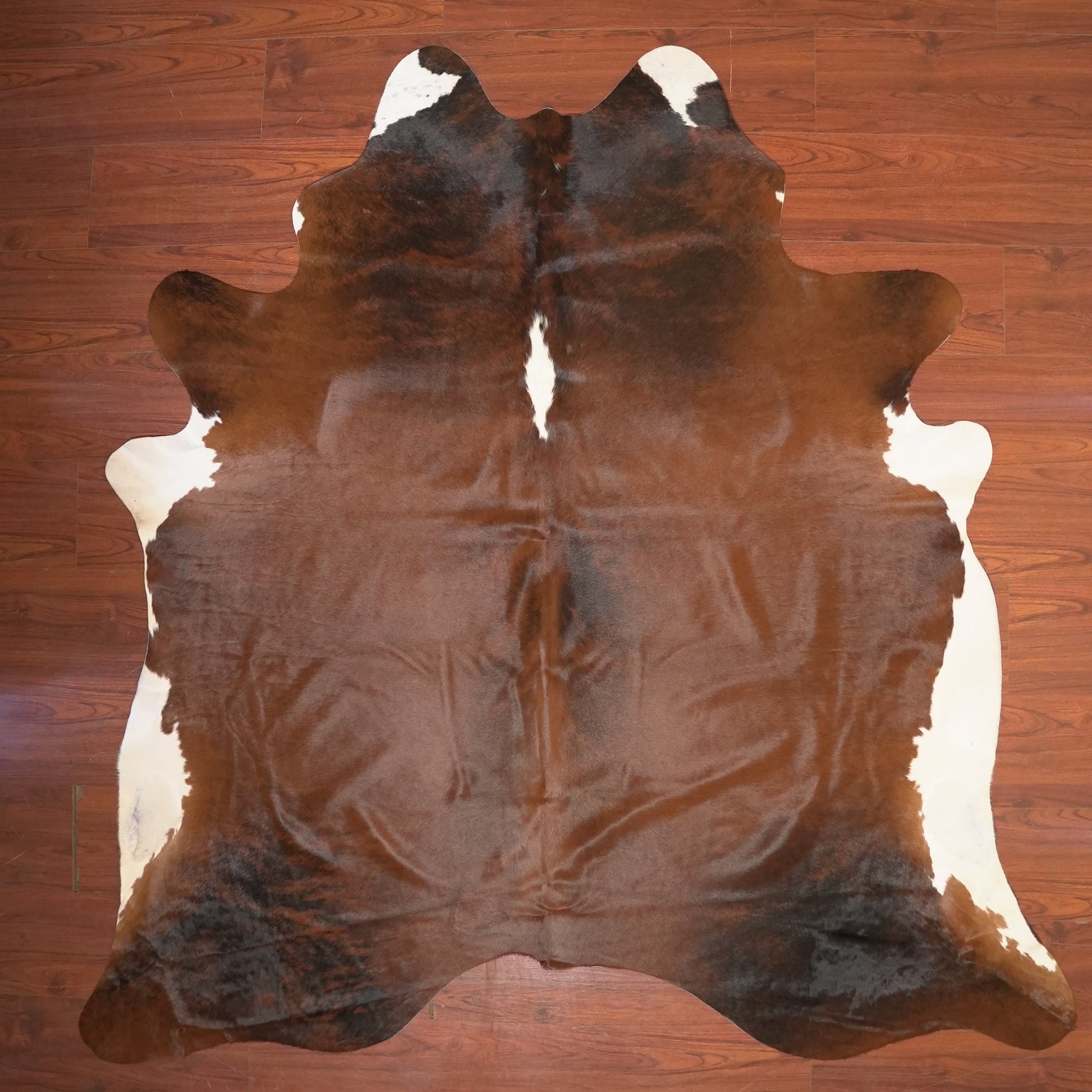 The Nguni Guy Nguni cowhide African decor Authentic cowhide Home decor Interior design Unique pattern Hand-selected Premium quality Natural beauty Exotic rug Genuine hide Statement piece Contemporary style Ethically sourced Sustainable decor Versatile accent Luxury rug Designer piece Modern aesthetic High-end craftsmanship Timeless elegance Designer home accents
