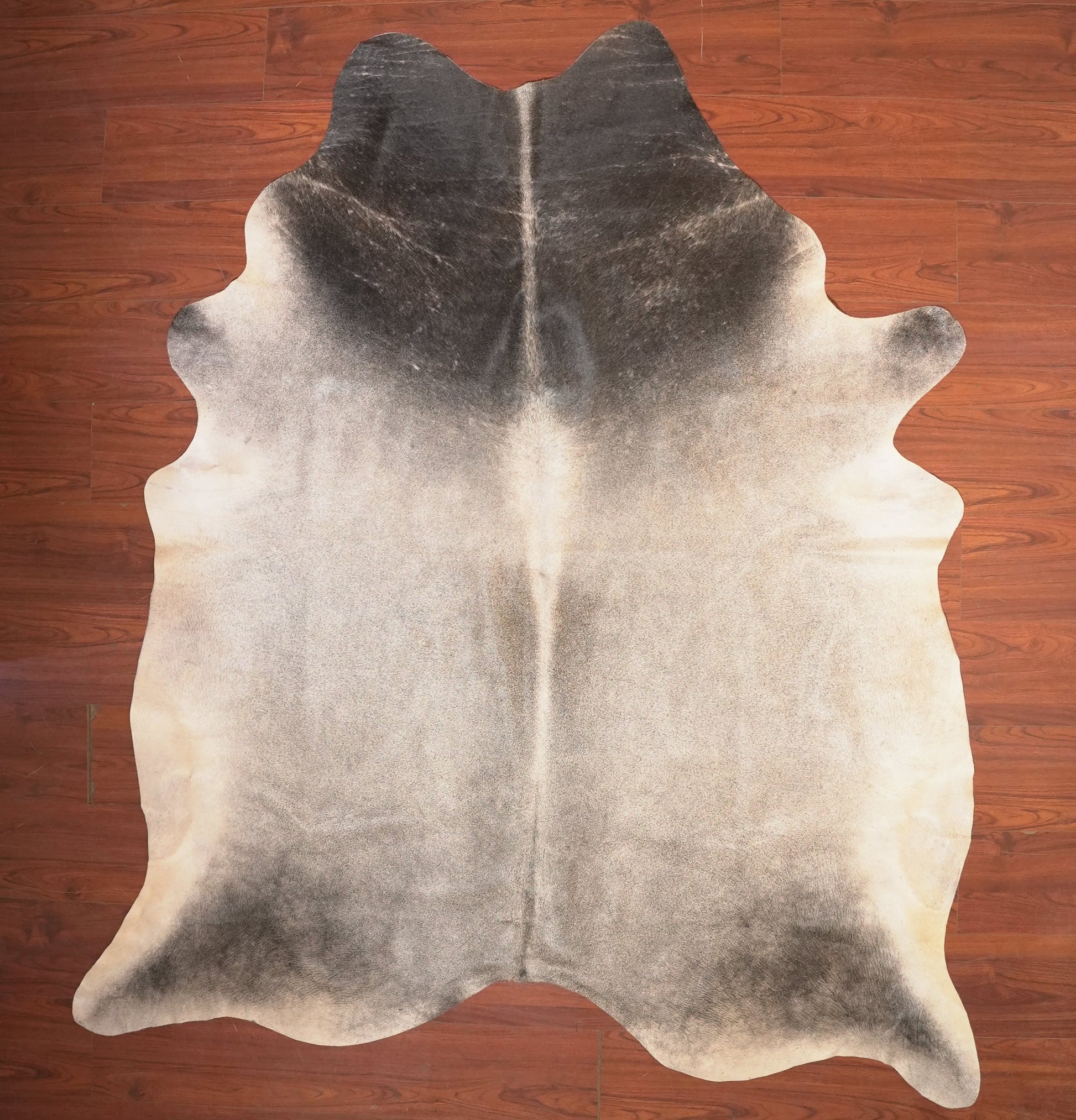 The Nguni Guy Nguni cowhide African decor Authentic cowhide Home decor Interior design Unique pattern Hand-selected Premium quality Natural beauty Exotic rug Genuine hide Statement piece Contemporary style Ethically sourced Sustainable decor Versatile accent Luxury rug Designer piece Modern aesthetic High-end craftsmanship Timeless elegance Designer home accents
