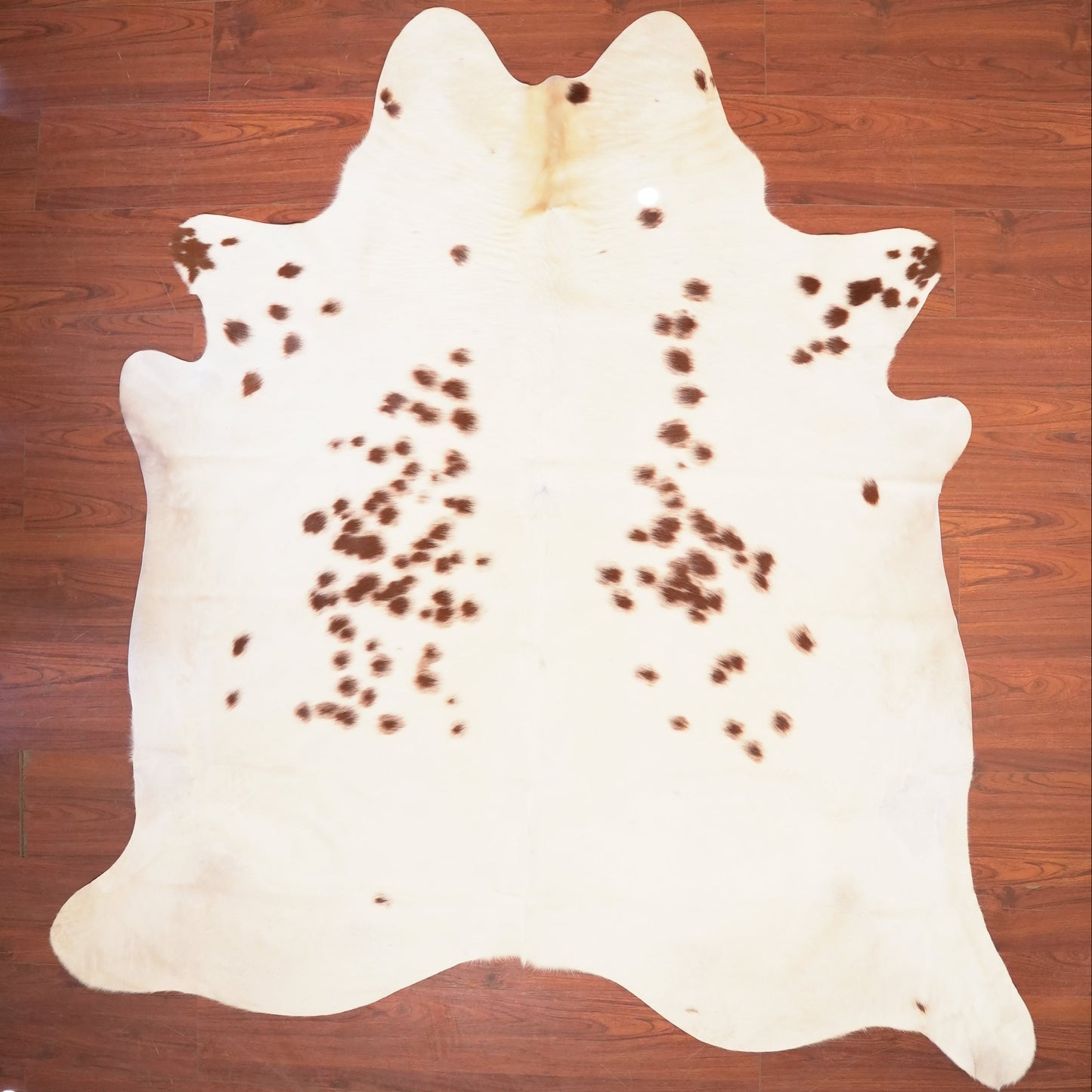 The Nguni Guy Nguni cowhide African decor Authentic cowhide Home decor Interior design Unique pattern Hand-selected Premium quality Natural beauty Exotic rug Genuine hide Statement piece Contemporary style Ethically sourced Sustainable decor Versatile accent Luxury rug Designer piece Modern aesthetic High-end craftsmanship Timeless elegance Designer home accents
