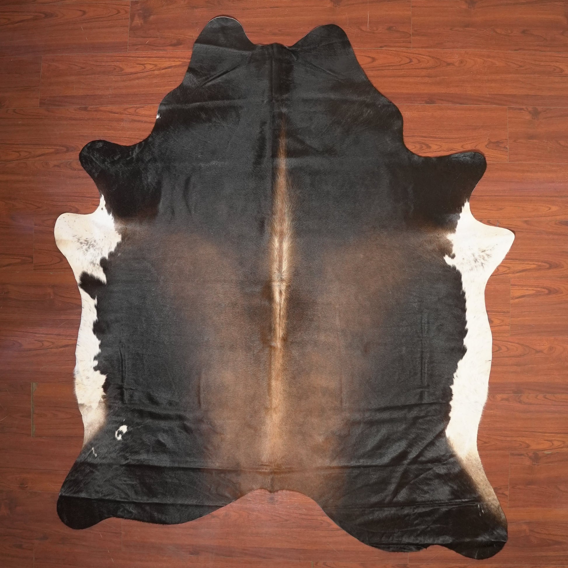 The Nguni Guy Nguni cowhide African decor Authentic cowhide Home decor Interior design Unique pattern Hand-selected Premium quality Natural beauty Exotic rug Genuine hide Statement piece Contemporary style Ethically sourced Sustainable decor Versatile accent Luxury rug Designer piece Modern aesthetic High-end craftsmanship Timeless elegance Designer home accents
