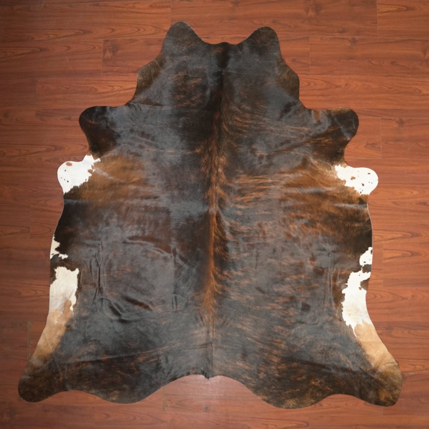 The Nguni Guy Nguni cowhide African decor Authentic cowhide Home decor Interior design Unique pattern Hand-selected Premium quality Natural beauty Exotic rug Genuine hide Statement piece Contemporary style Ethically sourced Sustainable decor Versatile accent Luxury rug Designer piece Modern aesthetic High-end craftsmanship Timeless elegance Designer home accents
