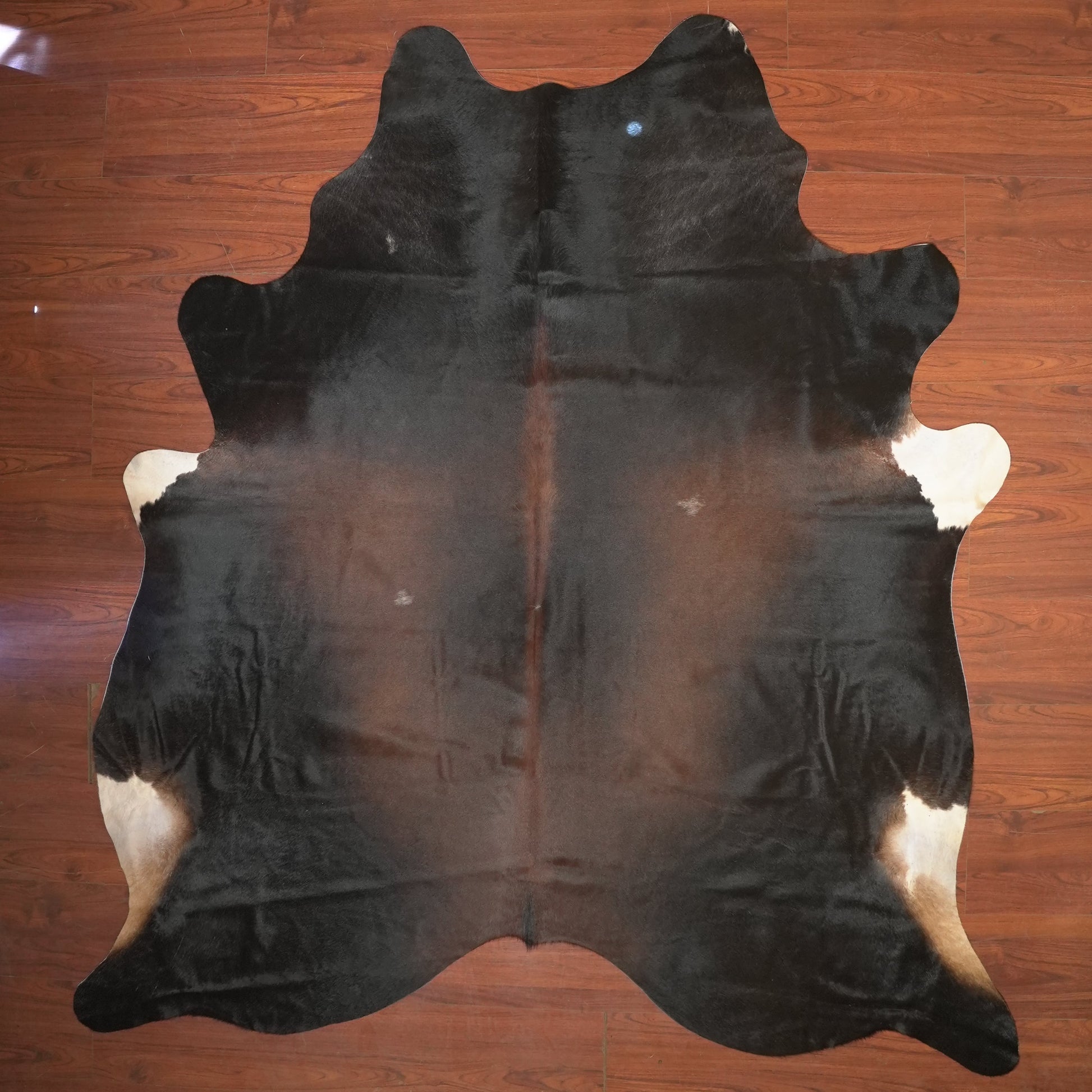 The Nguni Guy Nguni cowhide African decor Authentic cowhide Home decor Interior design Unique pattern Hand-selected Premium quality Natural beauty Exotic rug Genuine hide Statement piece Contemporary style Ethically sourced Sustainable decor Versatile accent Luxury rug Designer piece Modern aesthetic High-end craftsmanship Timeless elegance Designer home accents
