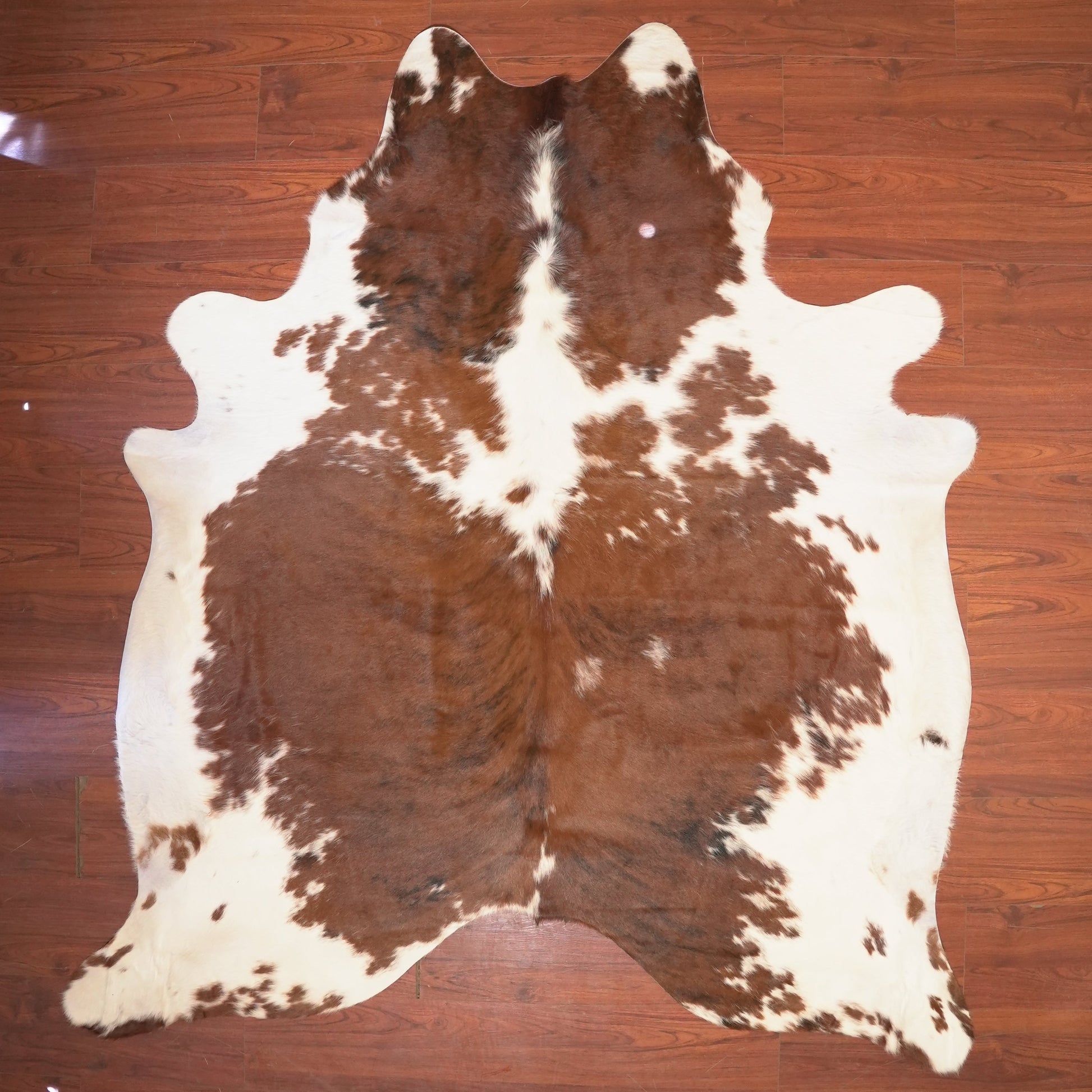 The Nguni Guy Nguni cowhide African decor Authentic cowhide Home decor Interior design Unique pattern Hand-selected Premium quality Natural beauty Exotic rug Genuine hide Statement piece Contemporary style Ethically sourced Sustainable decor Versatile accent Luxury rug Designer piece Modern aesthetic High-end craftsmanship Timeless elegance Designer home accents
