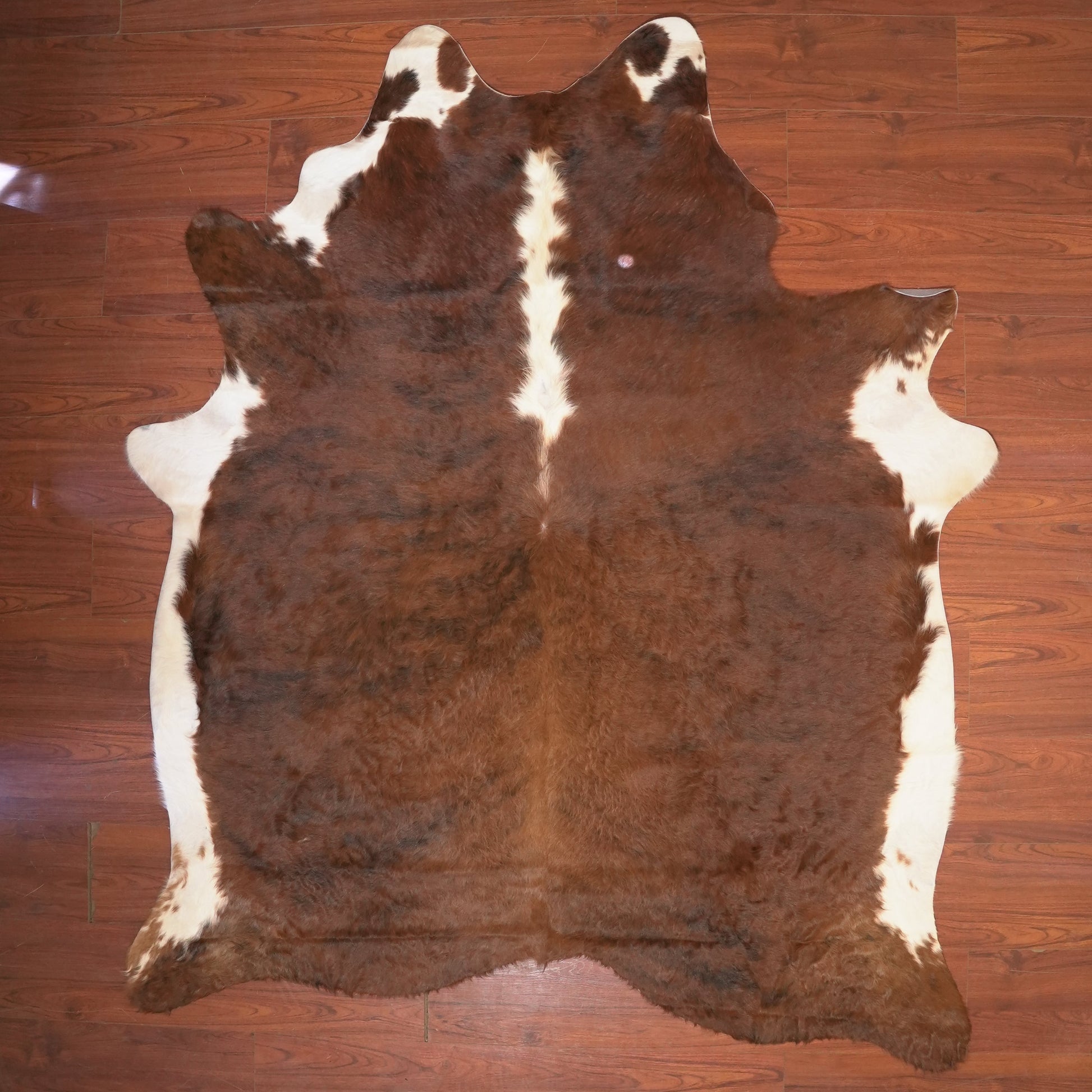 The Nguni Guy Nguni cowhide African decor Authentic cowhide Home decor Interior design Unique pattern Hand-selected Premium quality Natural beauty Exotic rug Genuine hide Statement piece Contemporary style Ethically sourced Sustainable decor Versatile accent Luxury rug Designer piece Modern aesthetic High-end craftsmanship Timeless elegance Designer home accents
