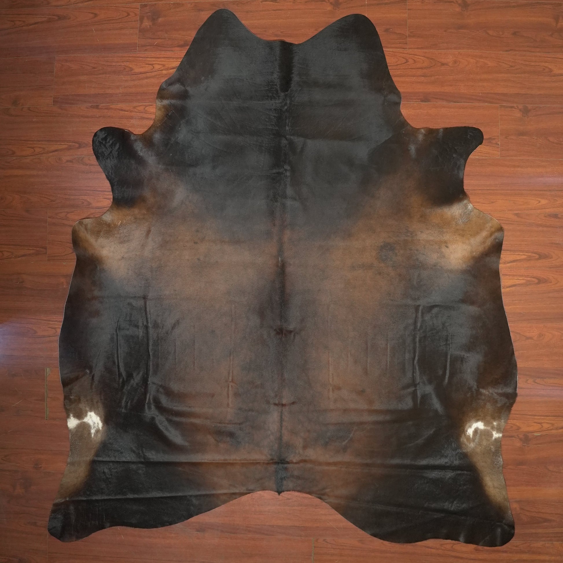 The Nguni Guy Nguni cowhide African decor Authentic cowhide Home decor Interior design Unique pattern Hand-selected Premium quality Natural beauty Exotic rug Genuine hide Statement piece Contemporary style Ethically sourced Sustainable decor Versatile accent Luxury rug Designer piece Modern aesthetic High-end craftsmanship Timeless elegance Designer home accents
